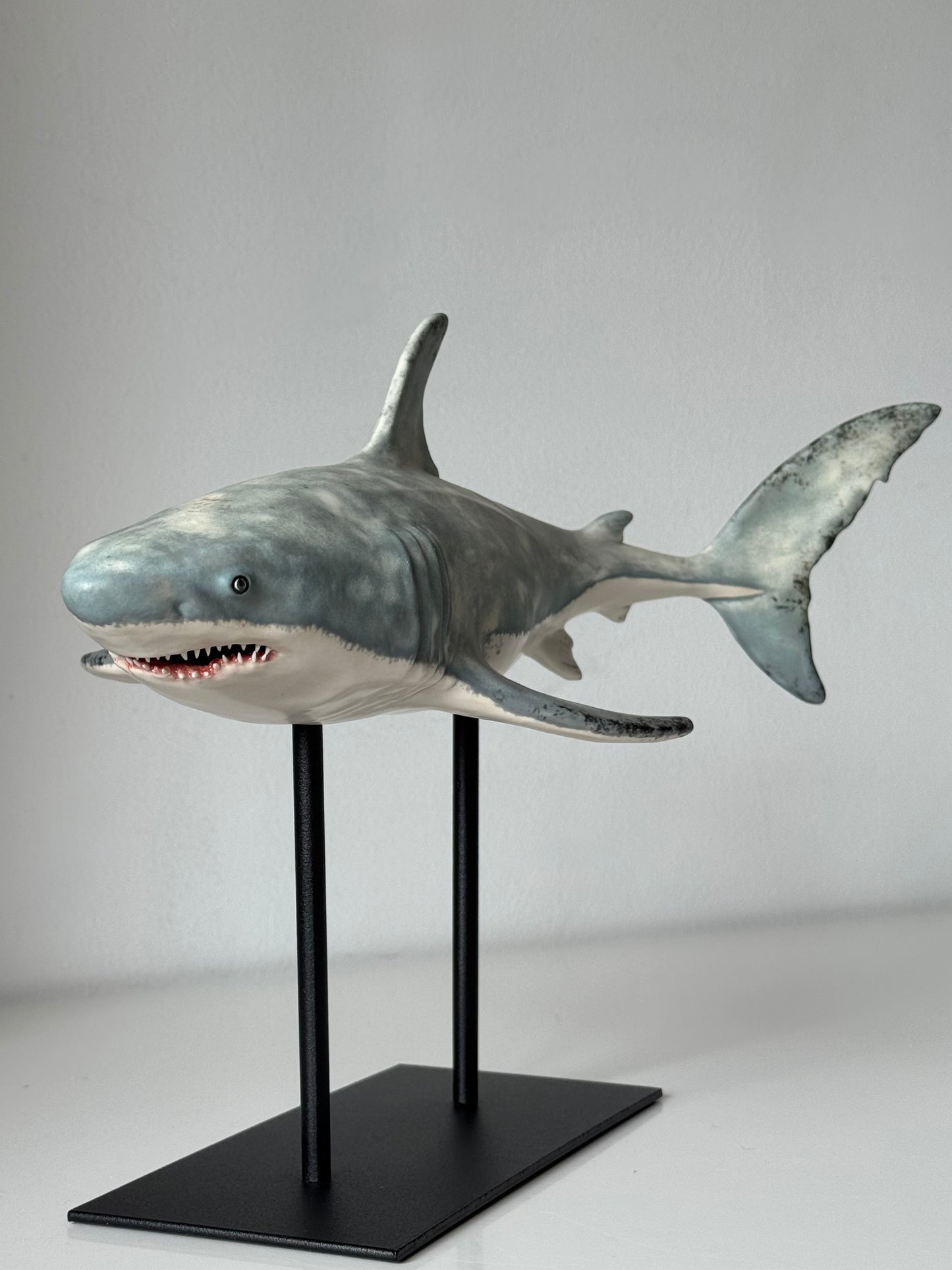 Great White Shark