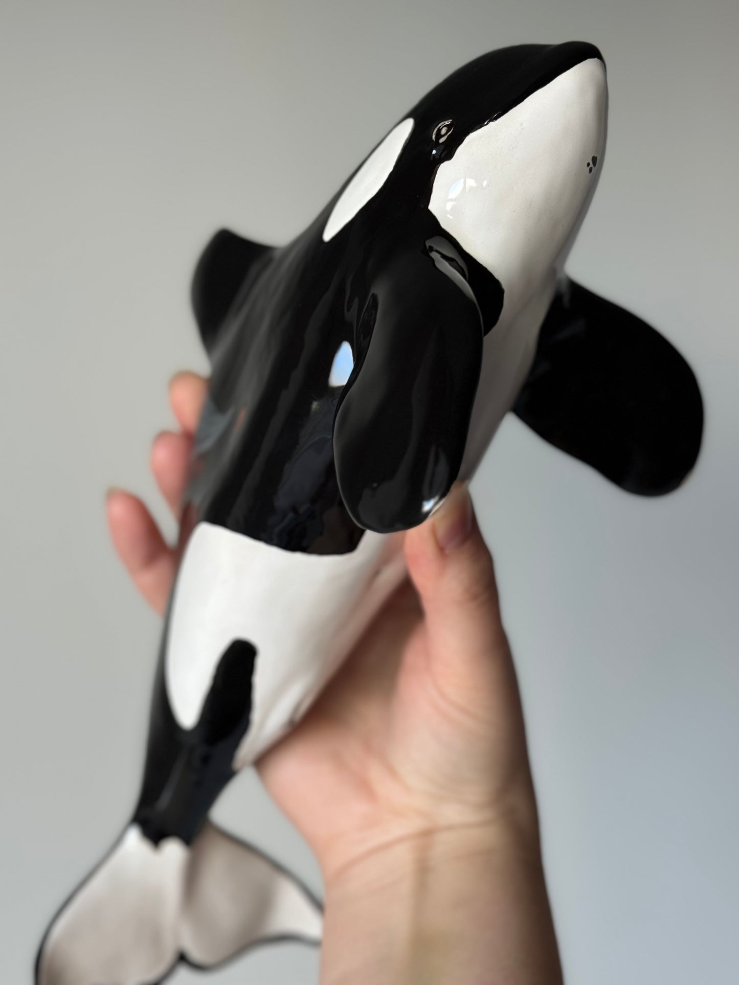 Orca Willy on a Stand