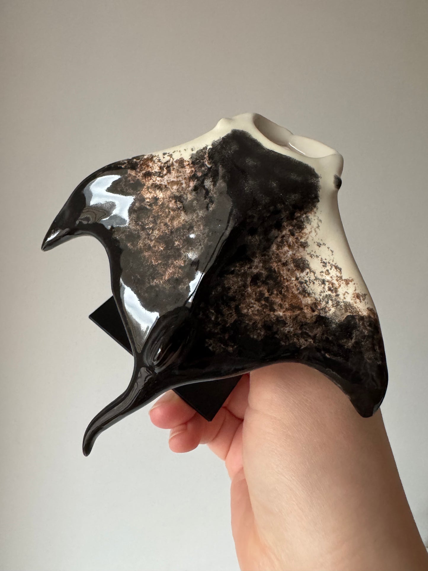 Manta Ray on a stand