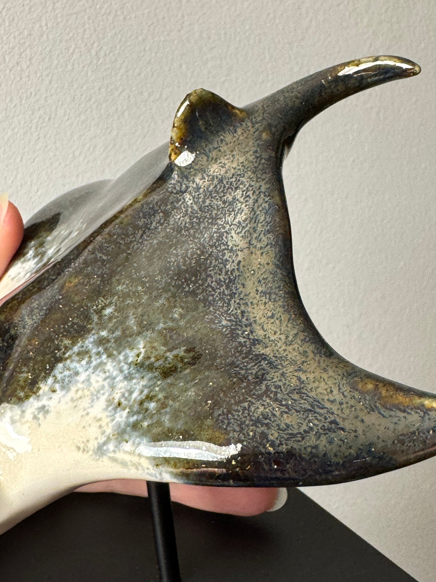 Manta Ray on a stand