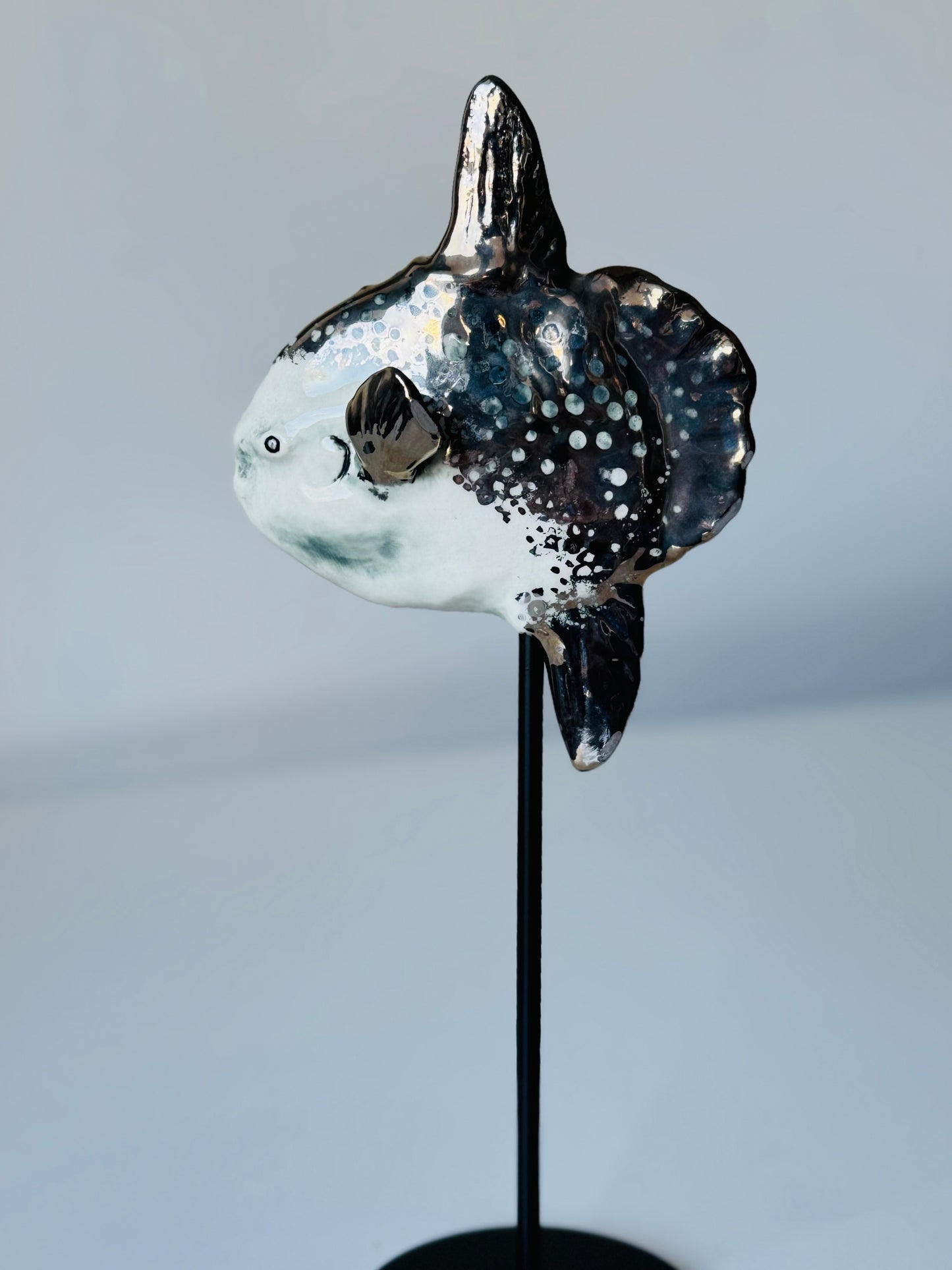 Mola Mola