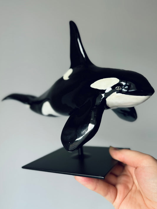 Male Orca on a stand