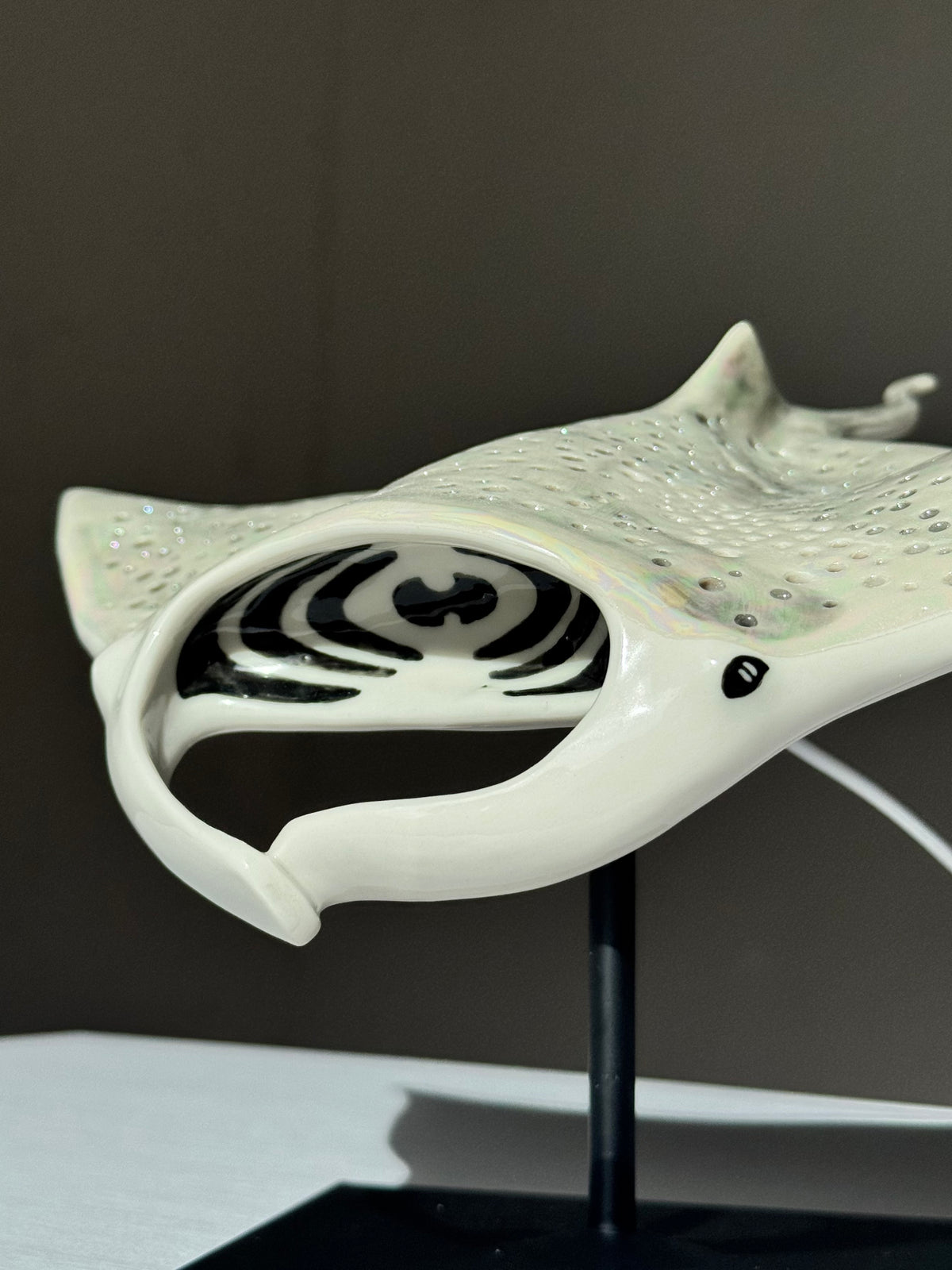 Big Manta Ray