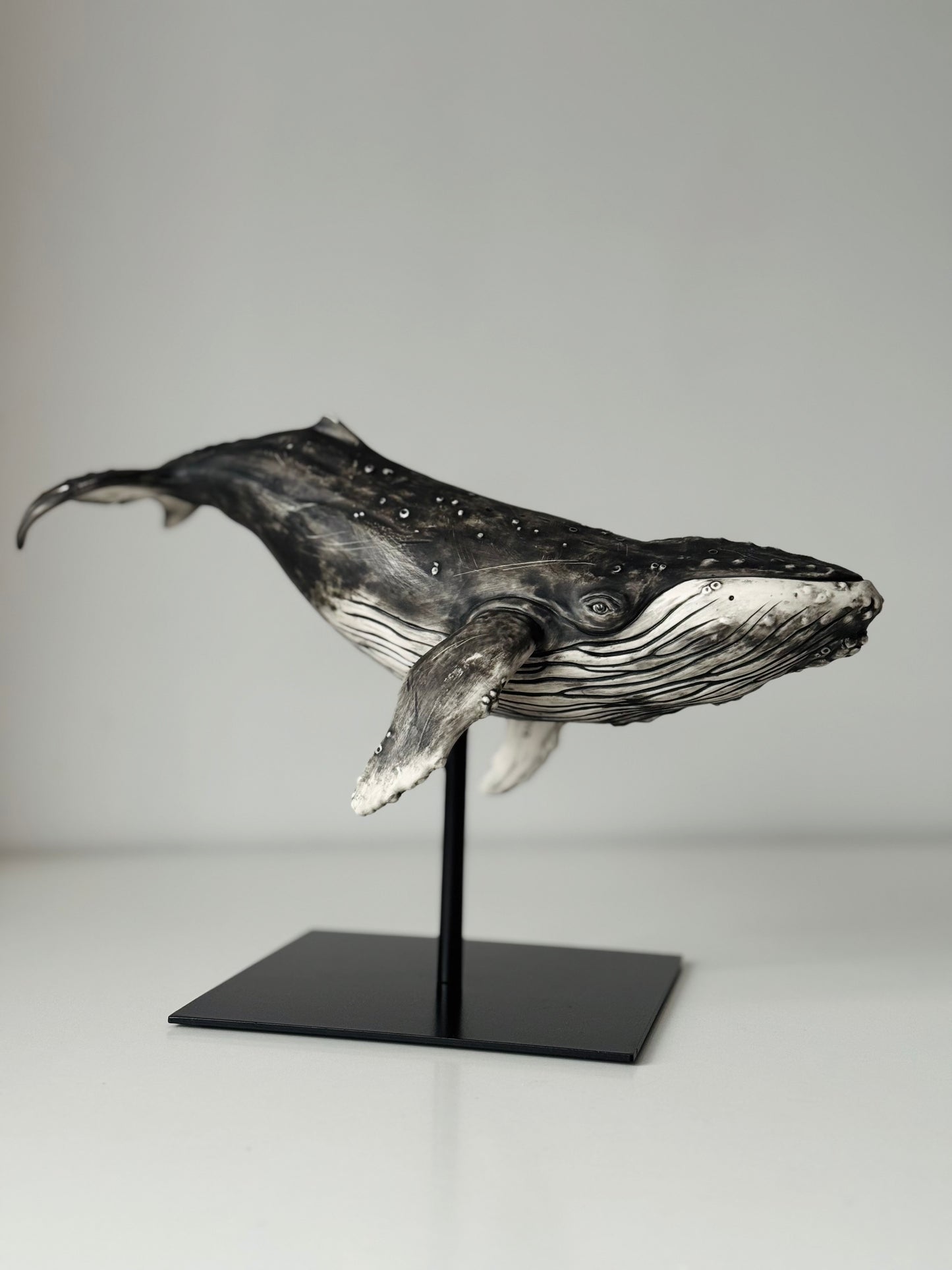 Big Humpback Whale