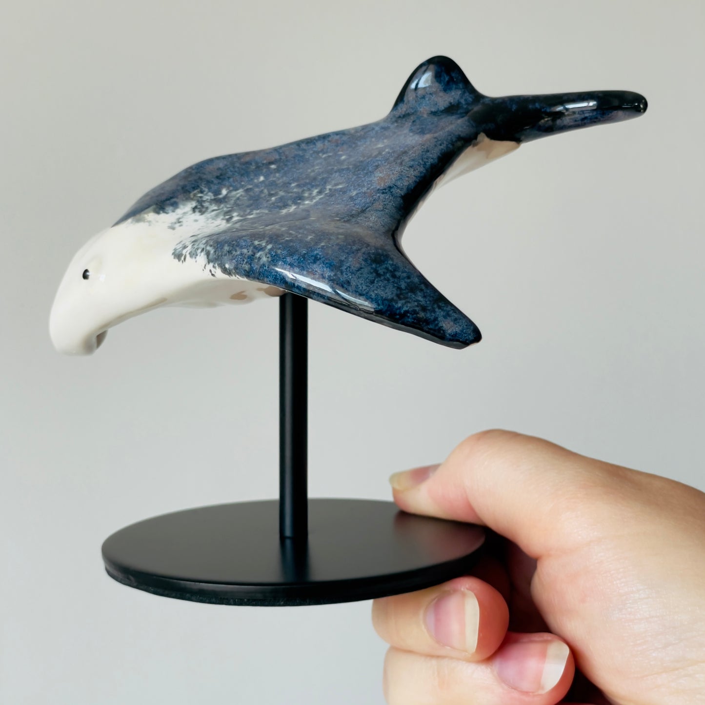 Manta Ray on a stand