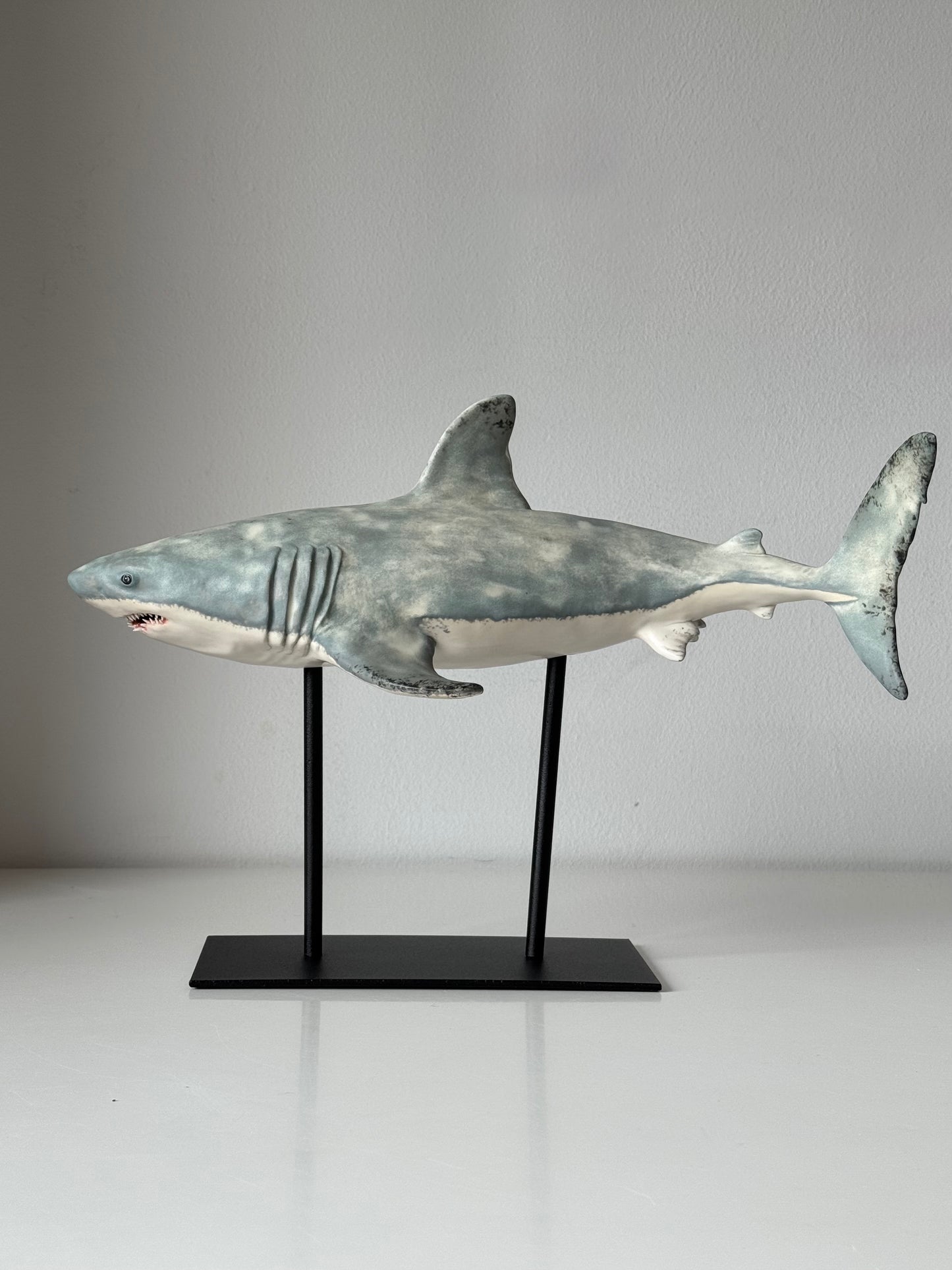 Great White Shark