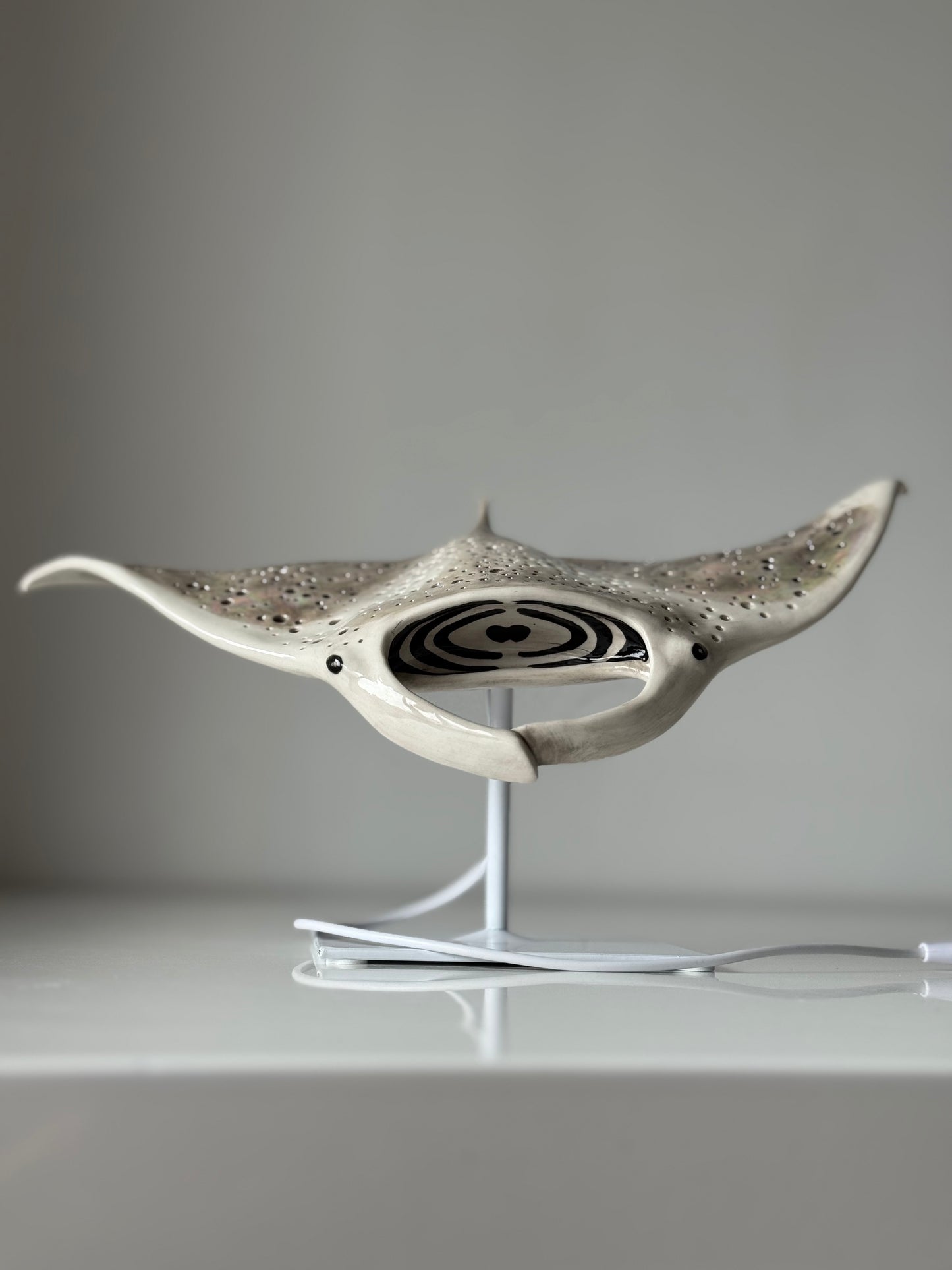 Big Manta Ray