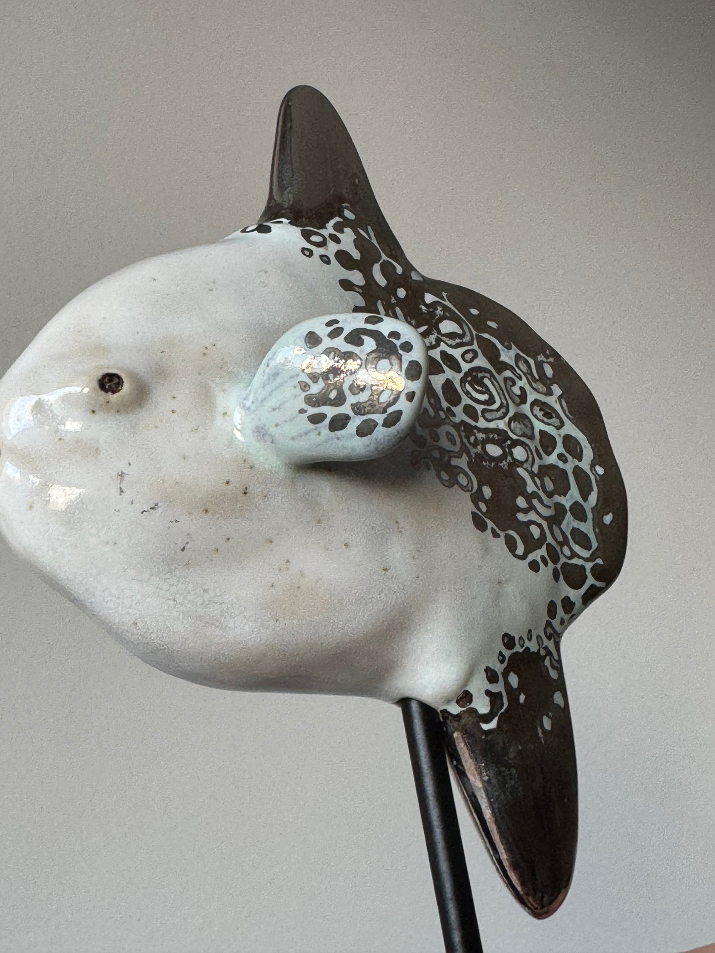 Mola Mola on a metal stand