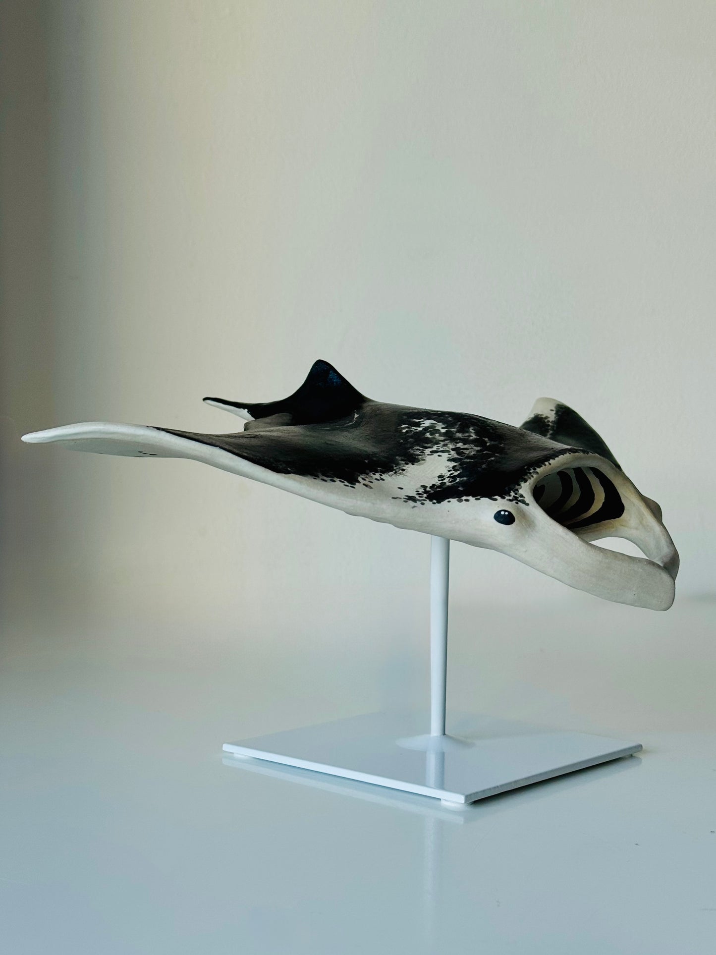 Big Manta Ray