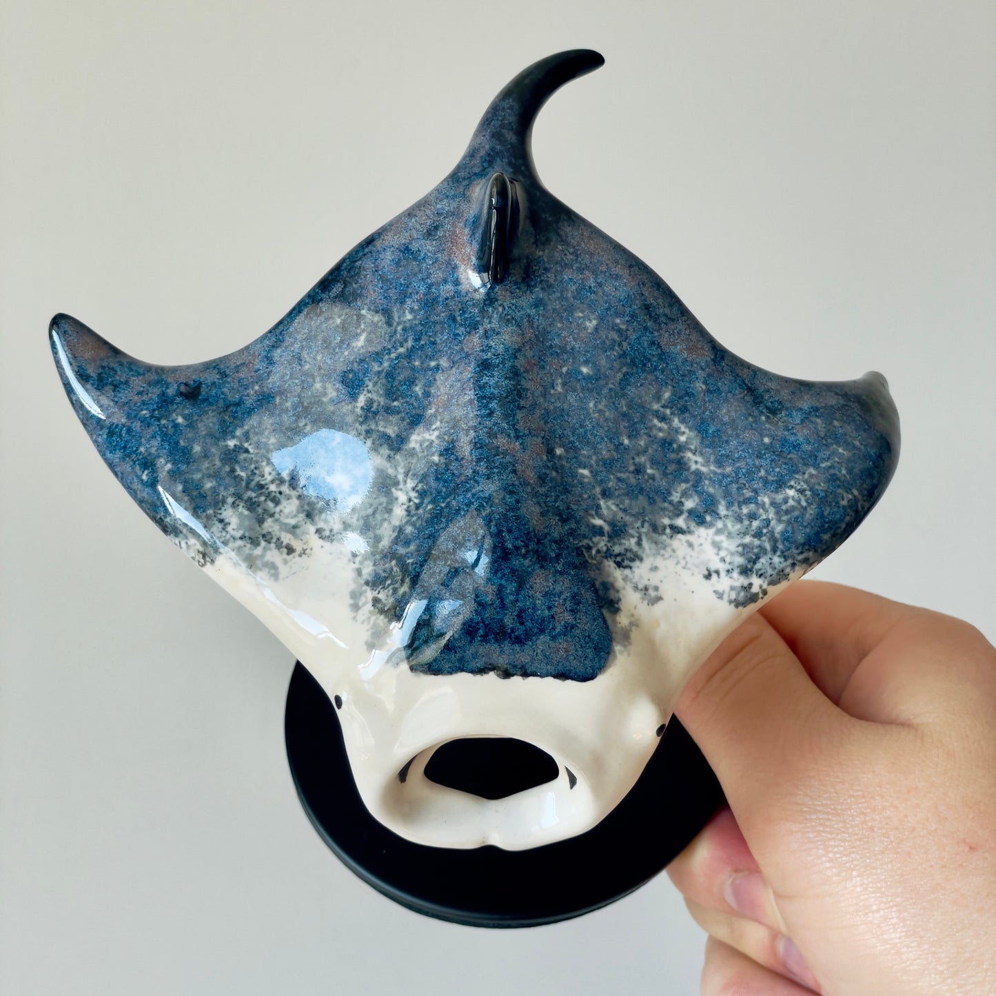 Manta Ray on a stand