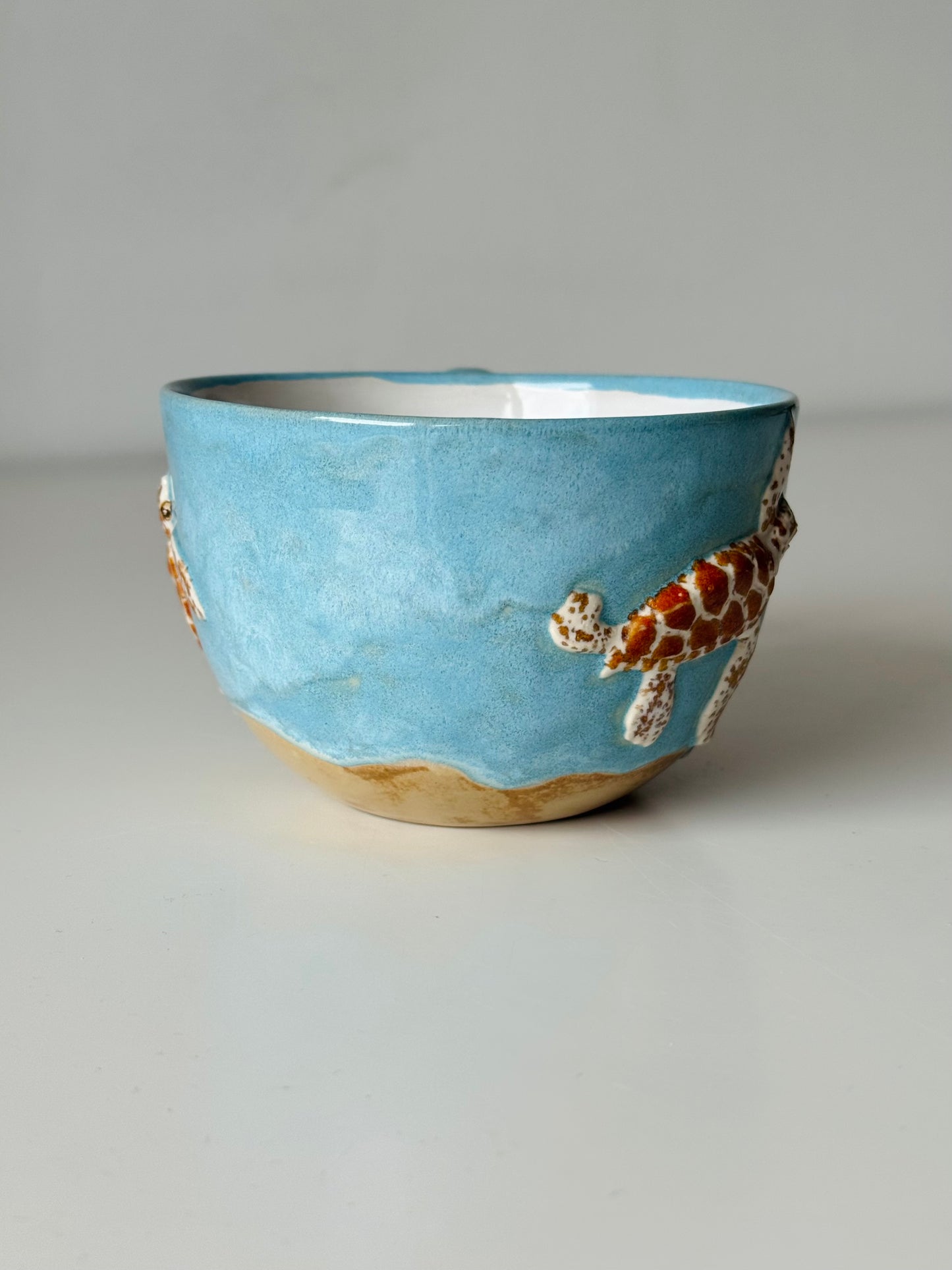 Sea Turtle Cup