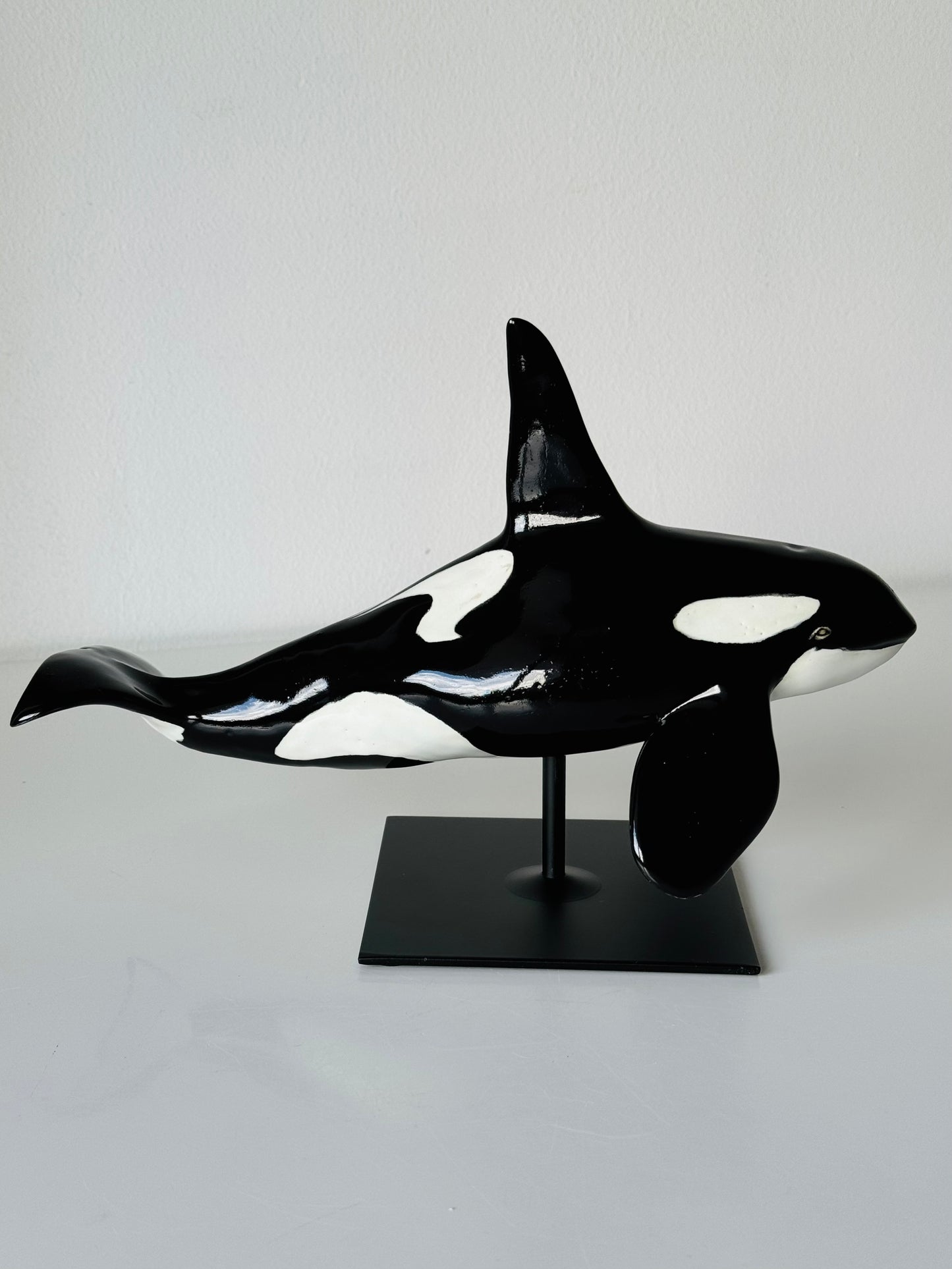 Male Orca on a stand