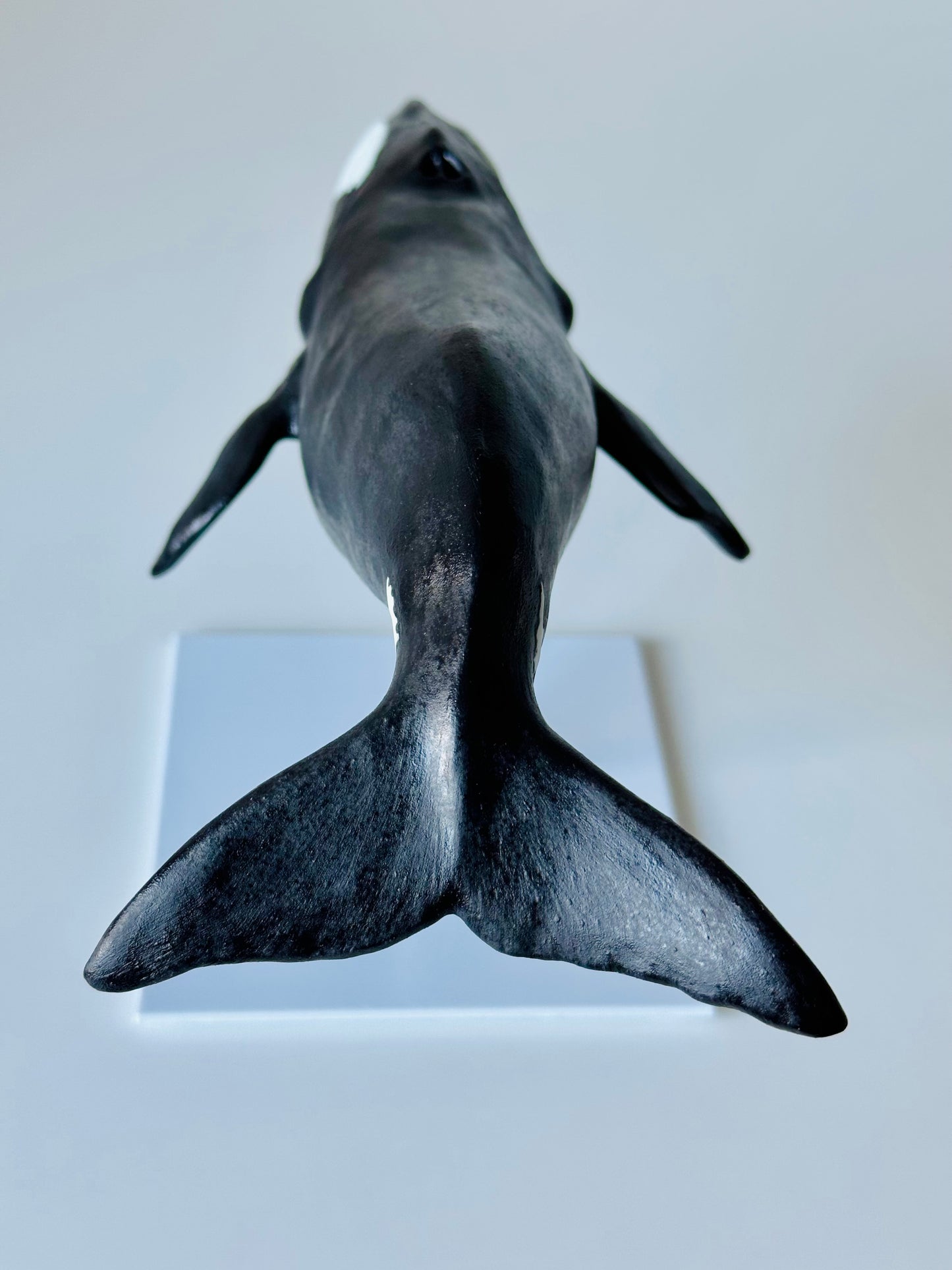 Bowhead Whale