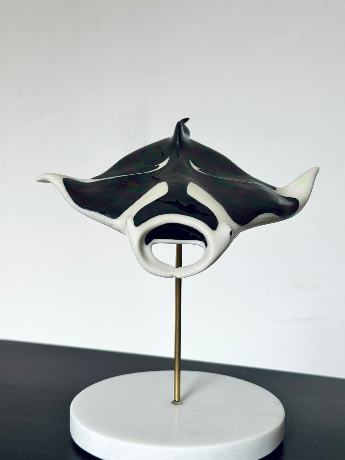 Manta Ray