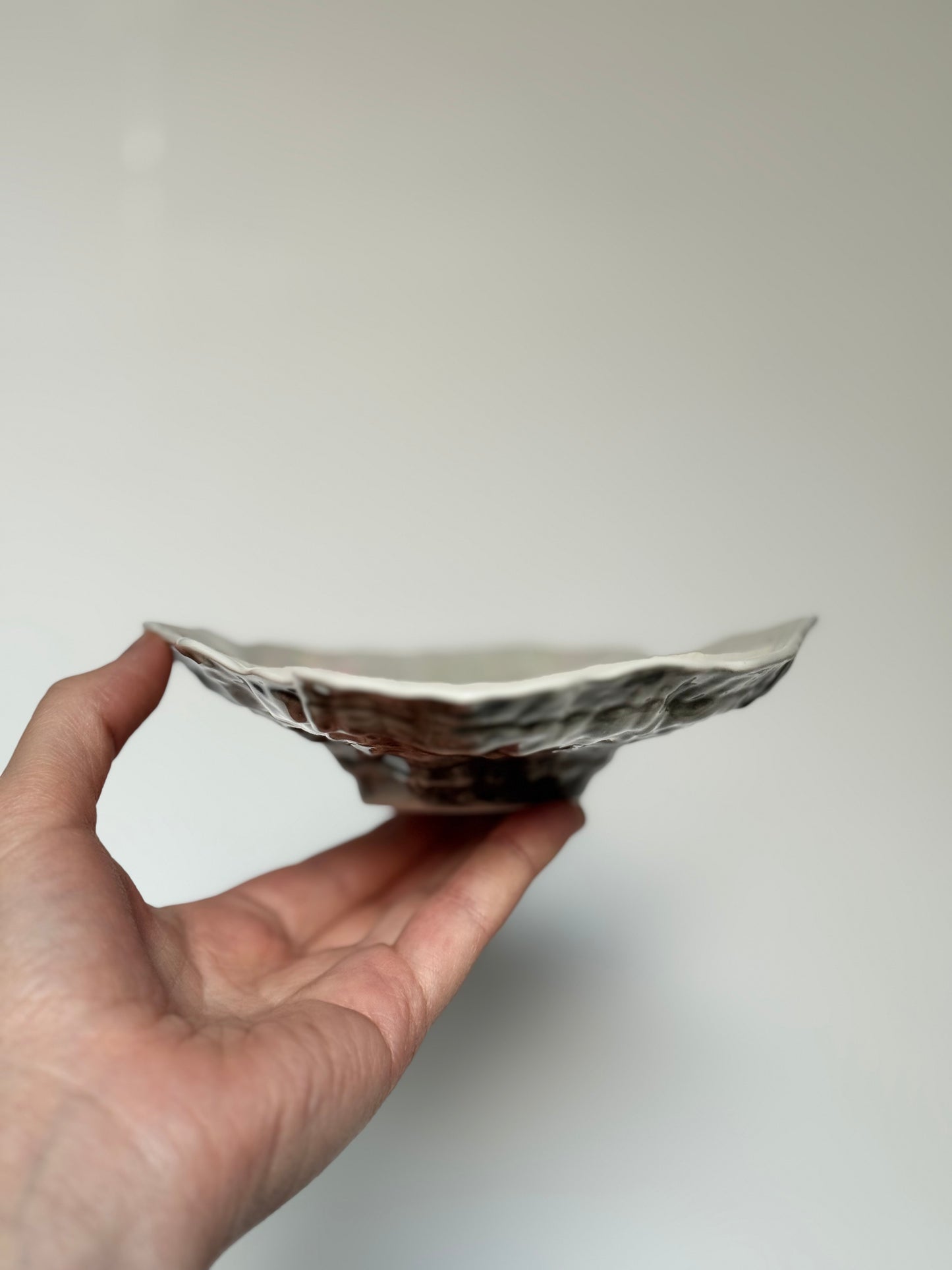 Shell-shaped plate