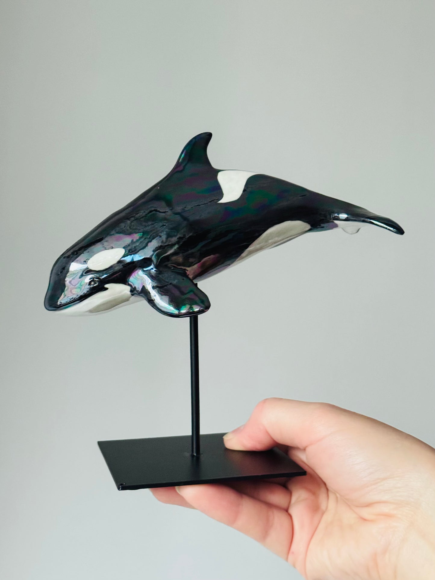 Baby Orca