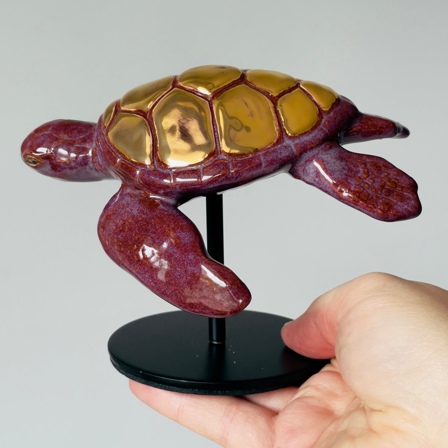 Sea Turtle on a stand