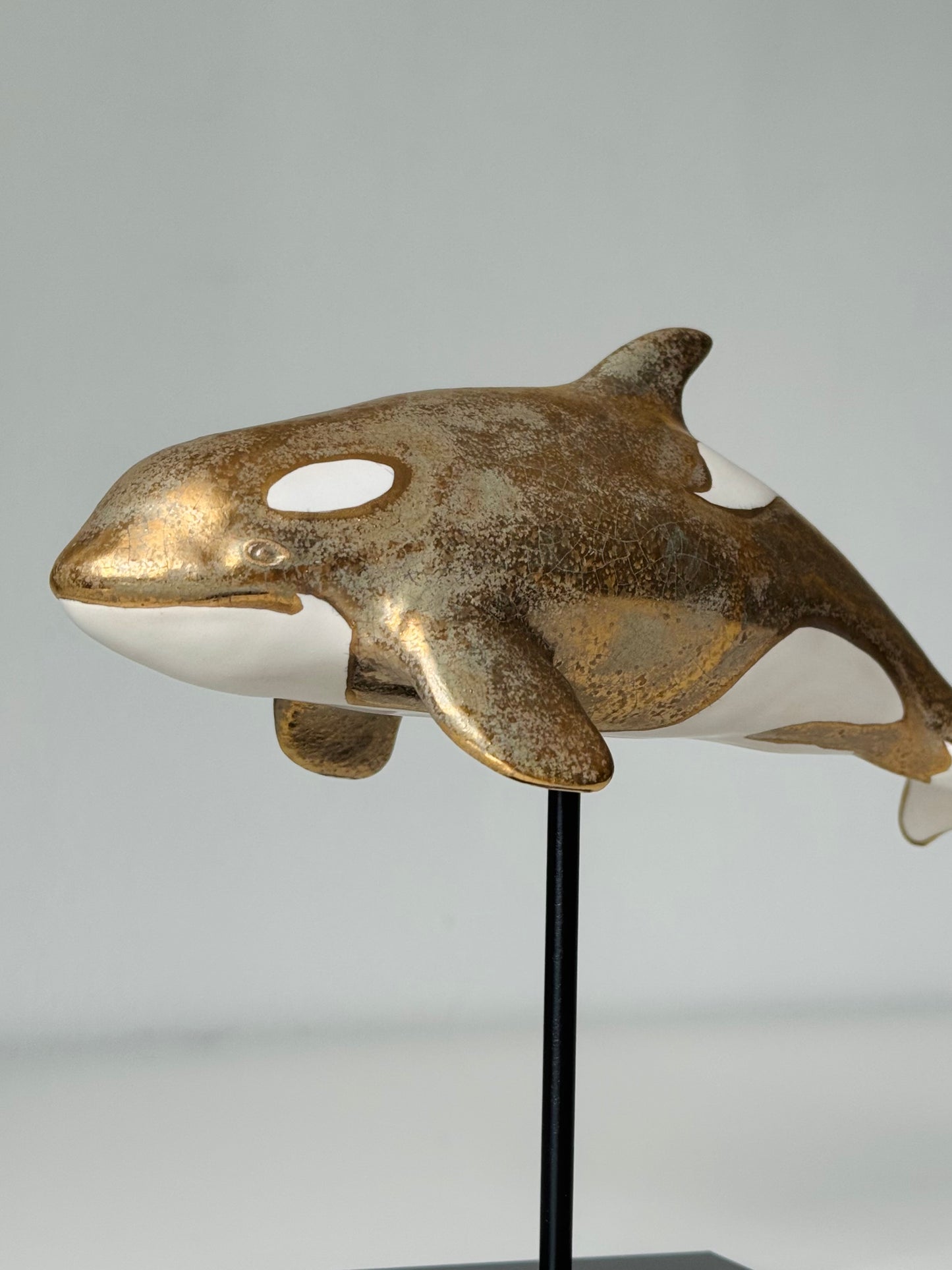 Matte Gold Baby Orca