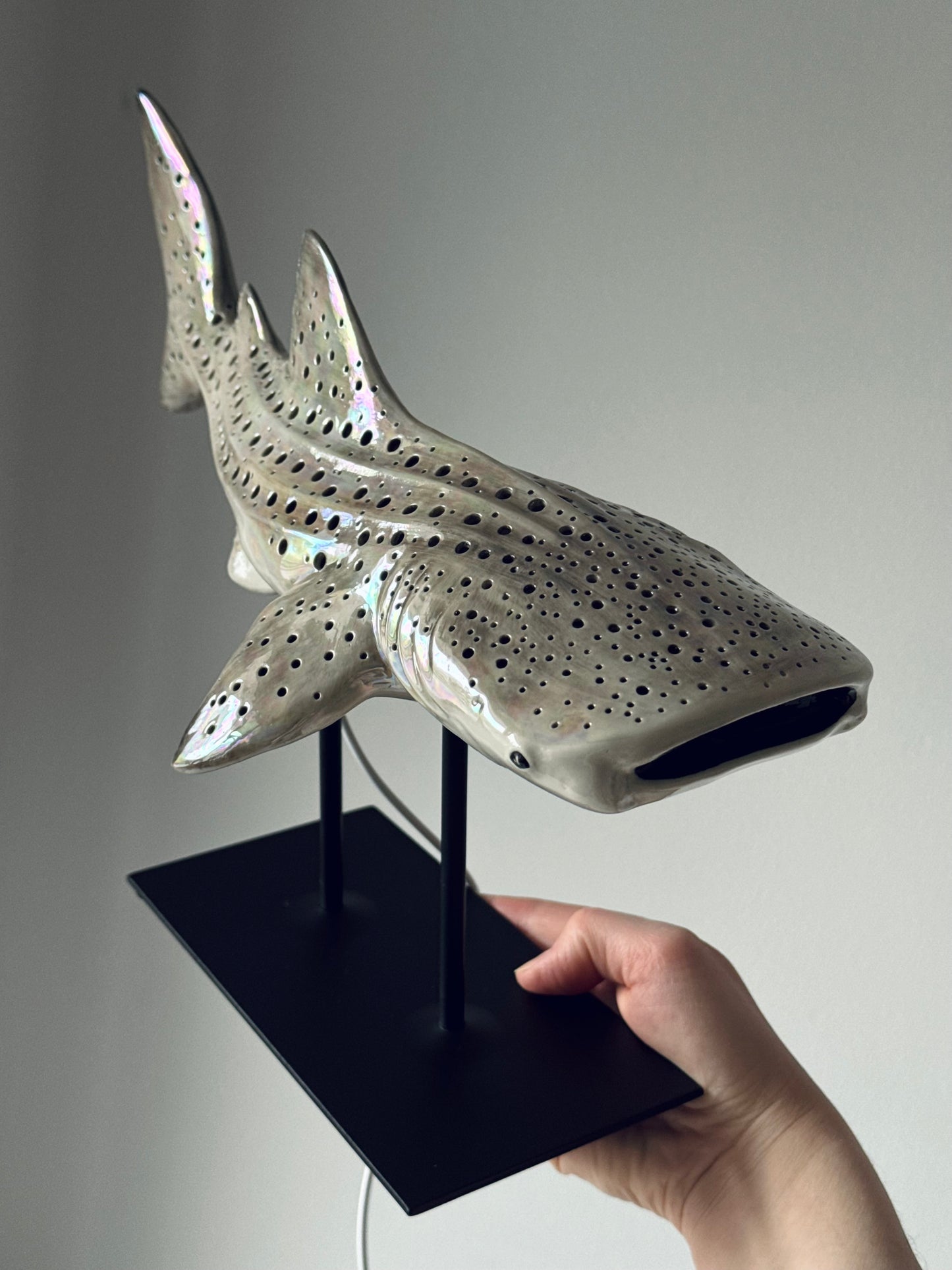 Shark Lamp