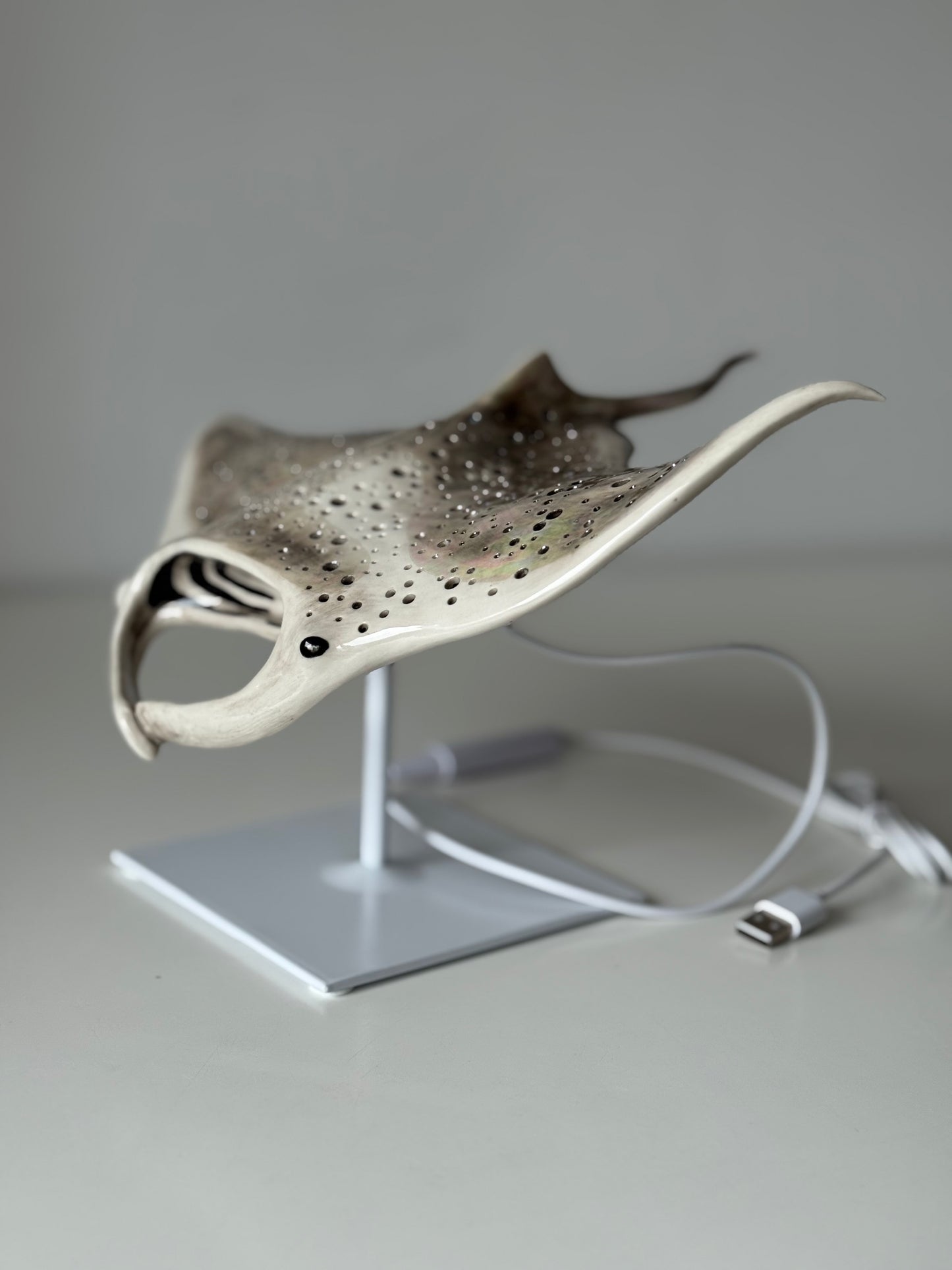 Big Manta Ray