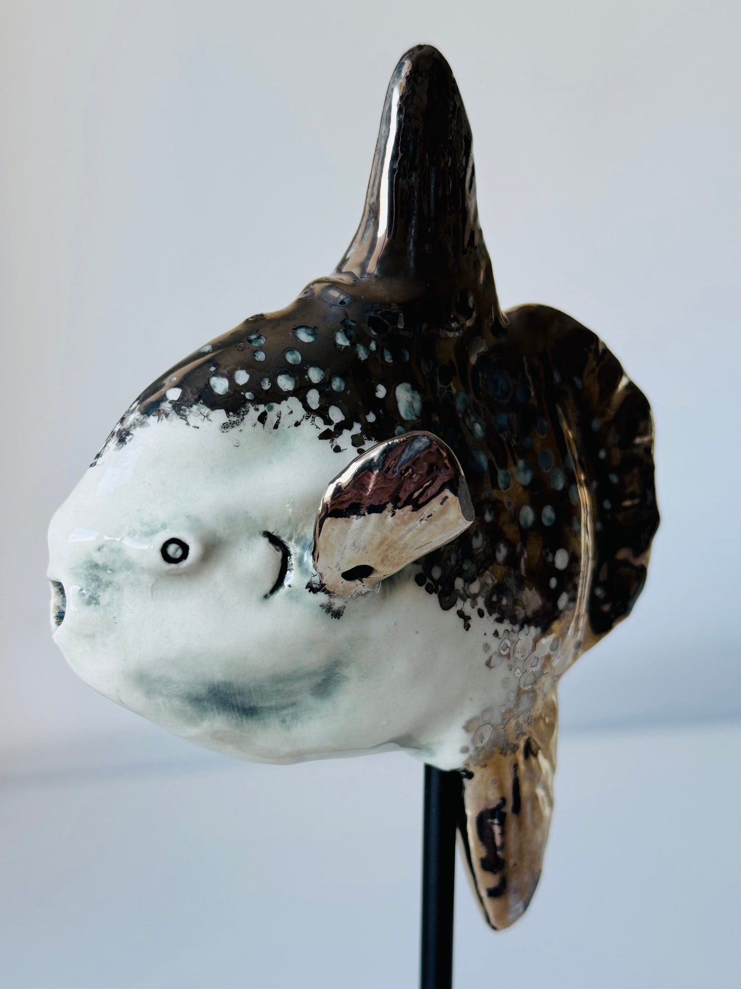 Mola Mola