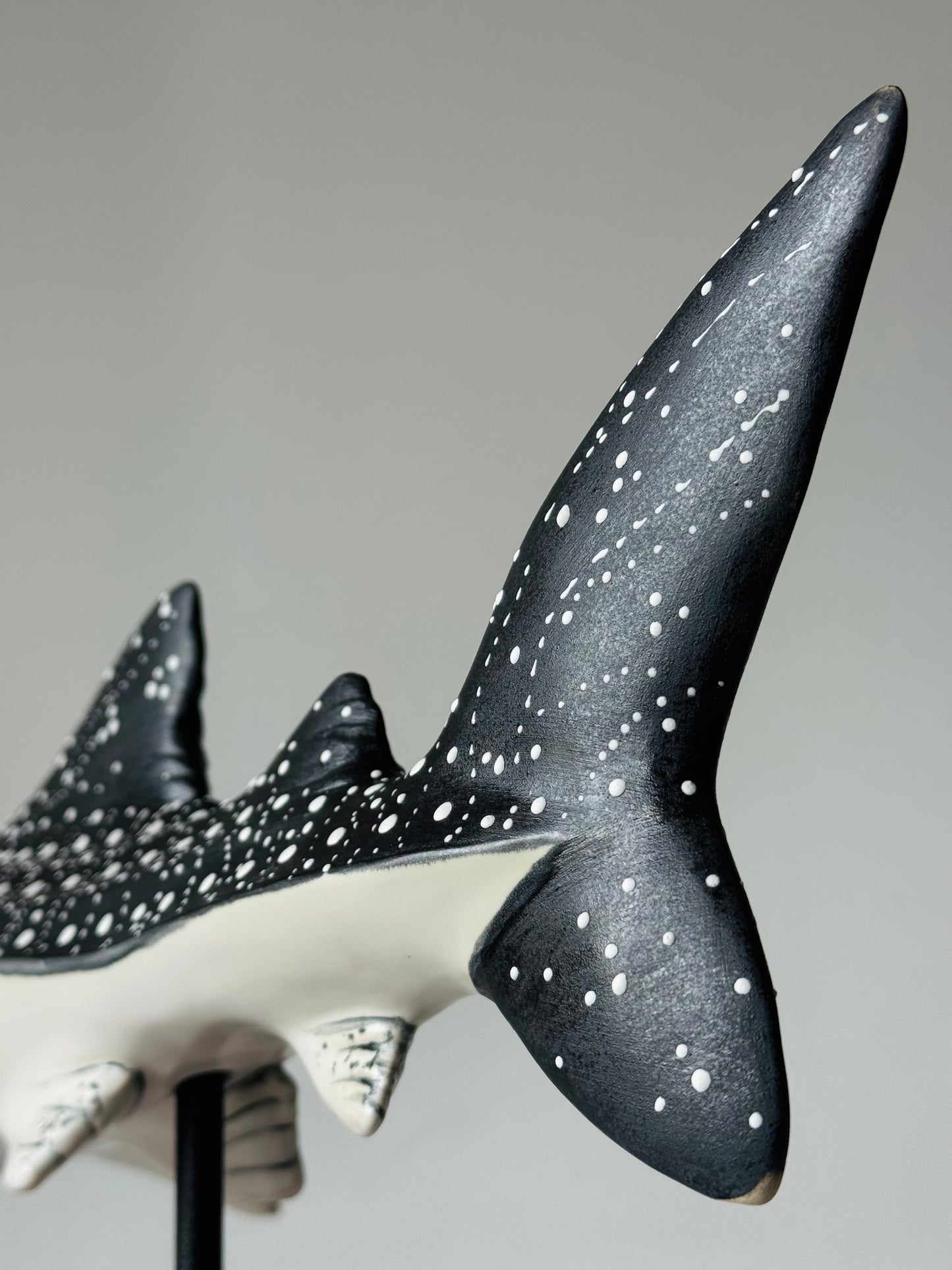 Whale Shark