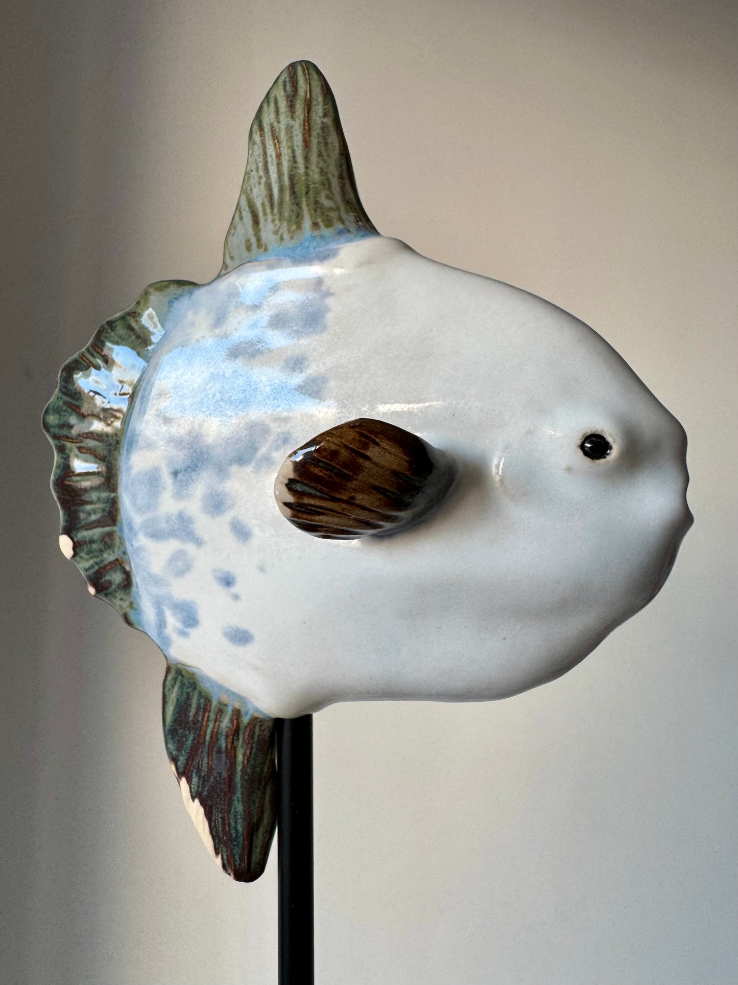 Mola Mola on a metal stand