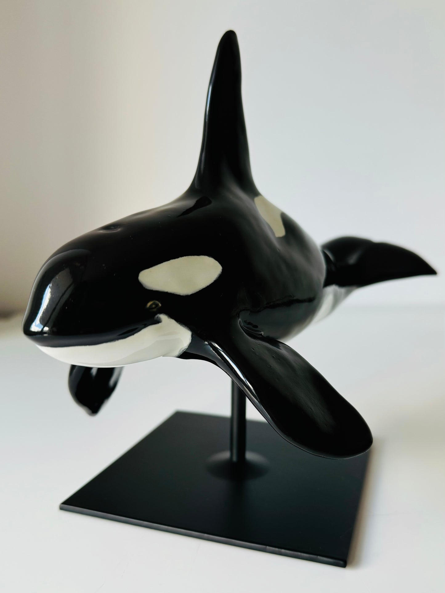 Male Orca on a stand