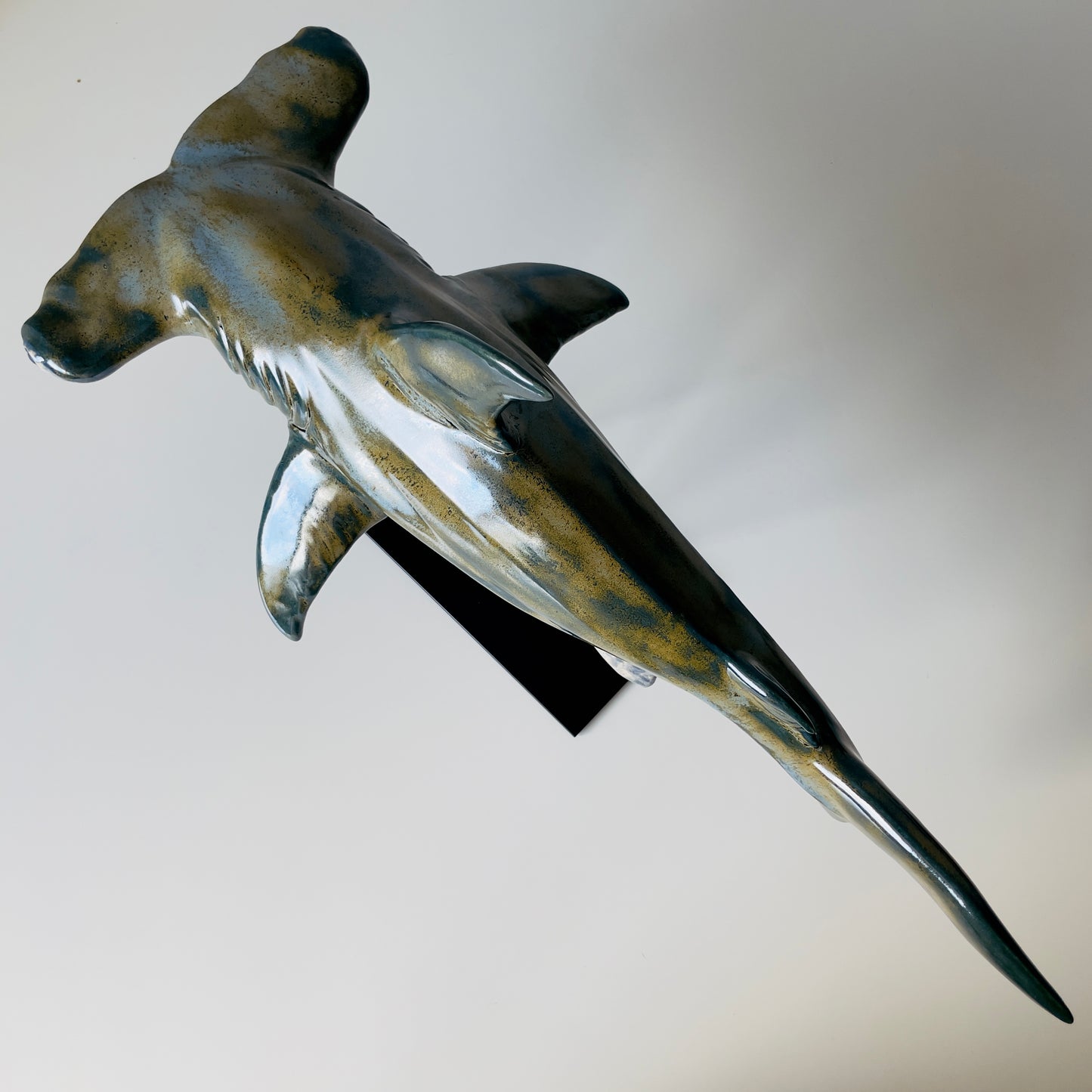 Hammerhead Shark