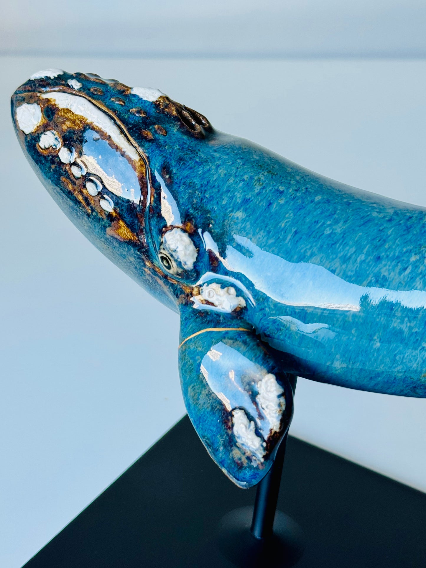 Right Whale (Kintsugi)
