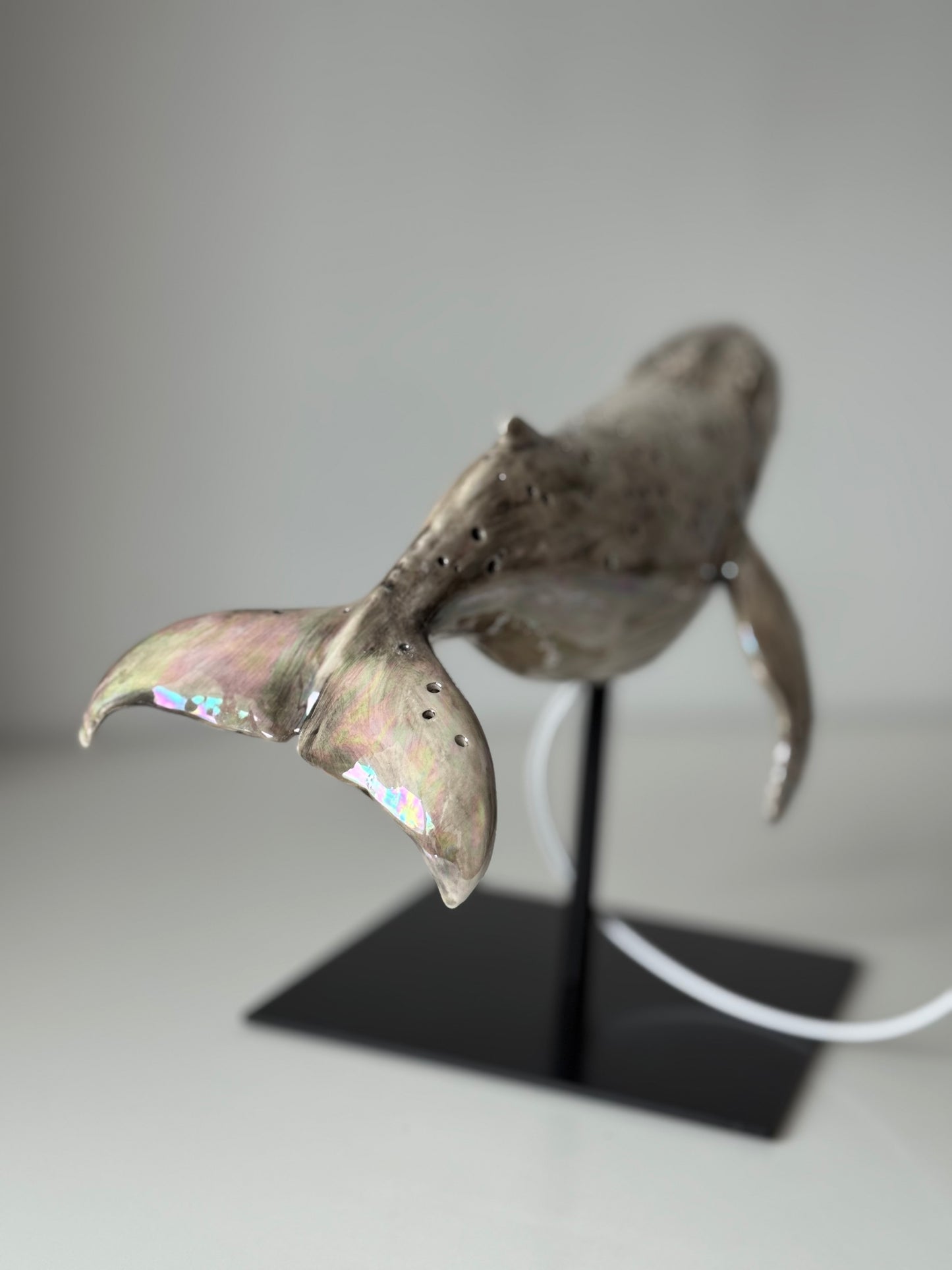 Whale Lamp
