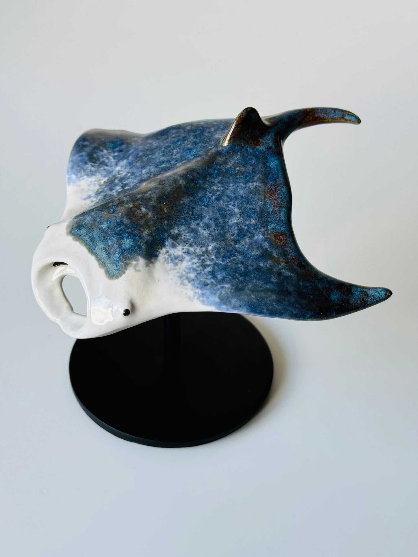 Manta Ray on a stand