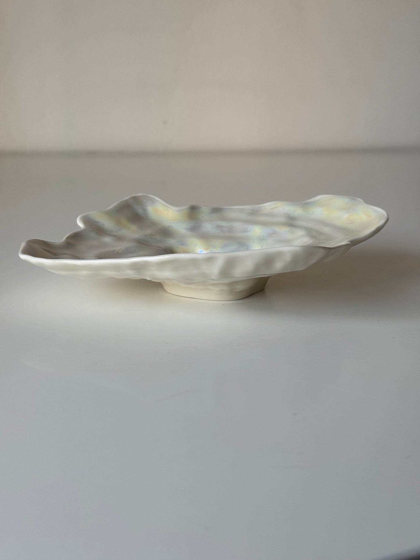 Shell-shaped plate