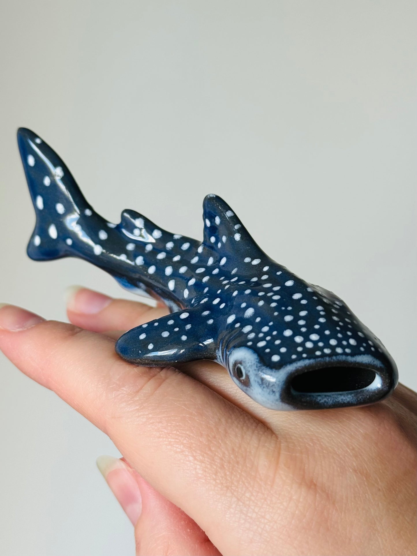 Baby Whale Shark