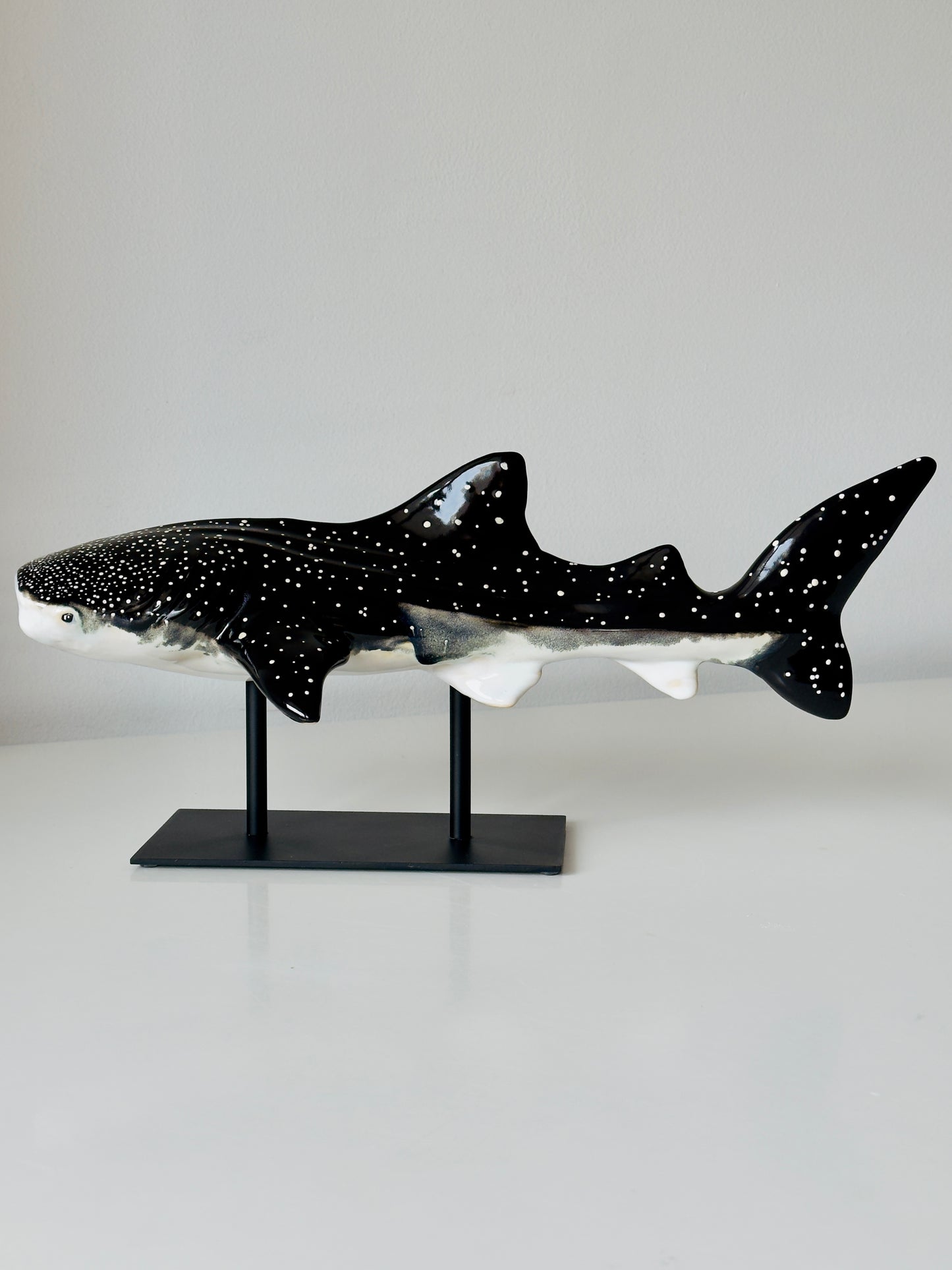 Whale Shark on a metal stand