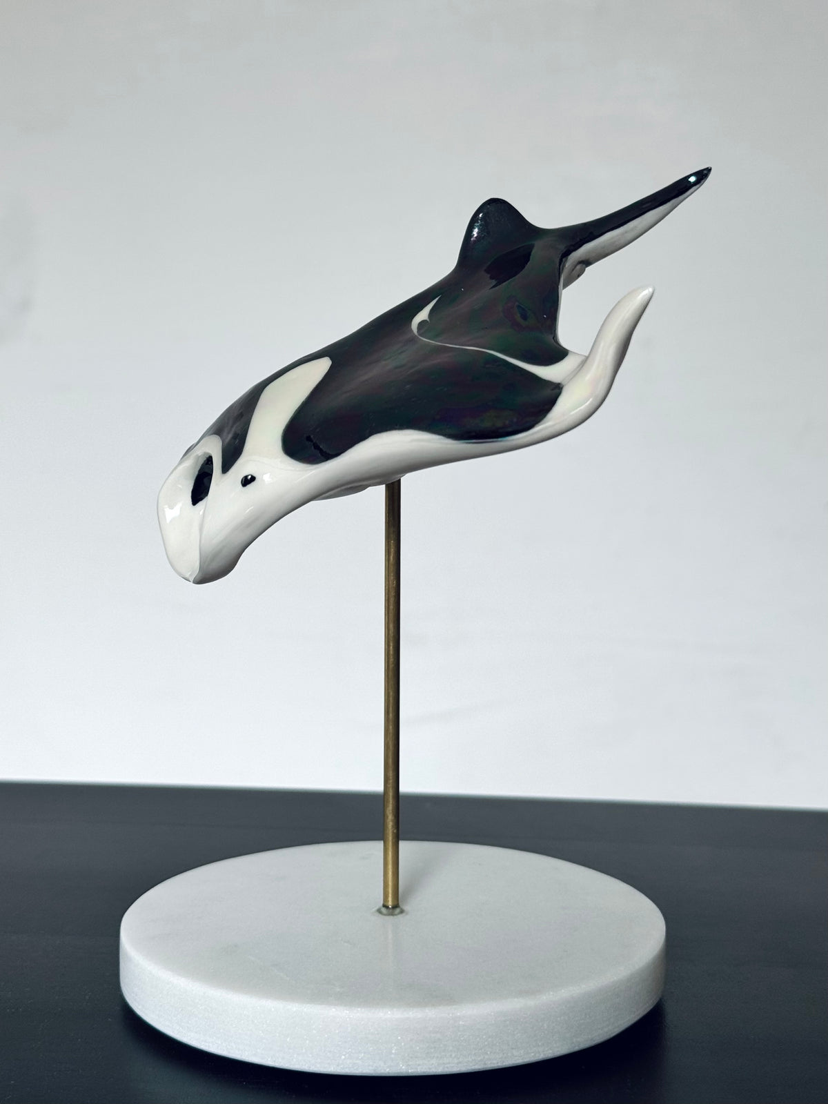 Manta Ray