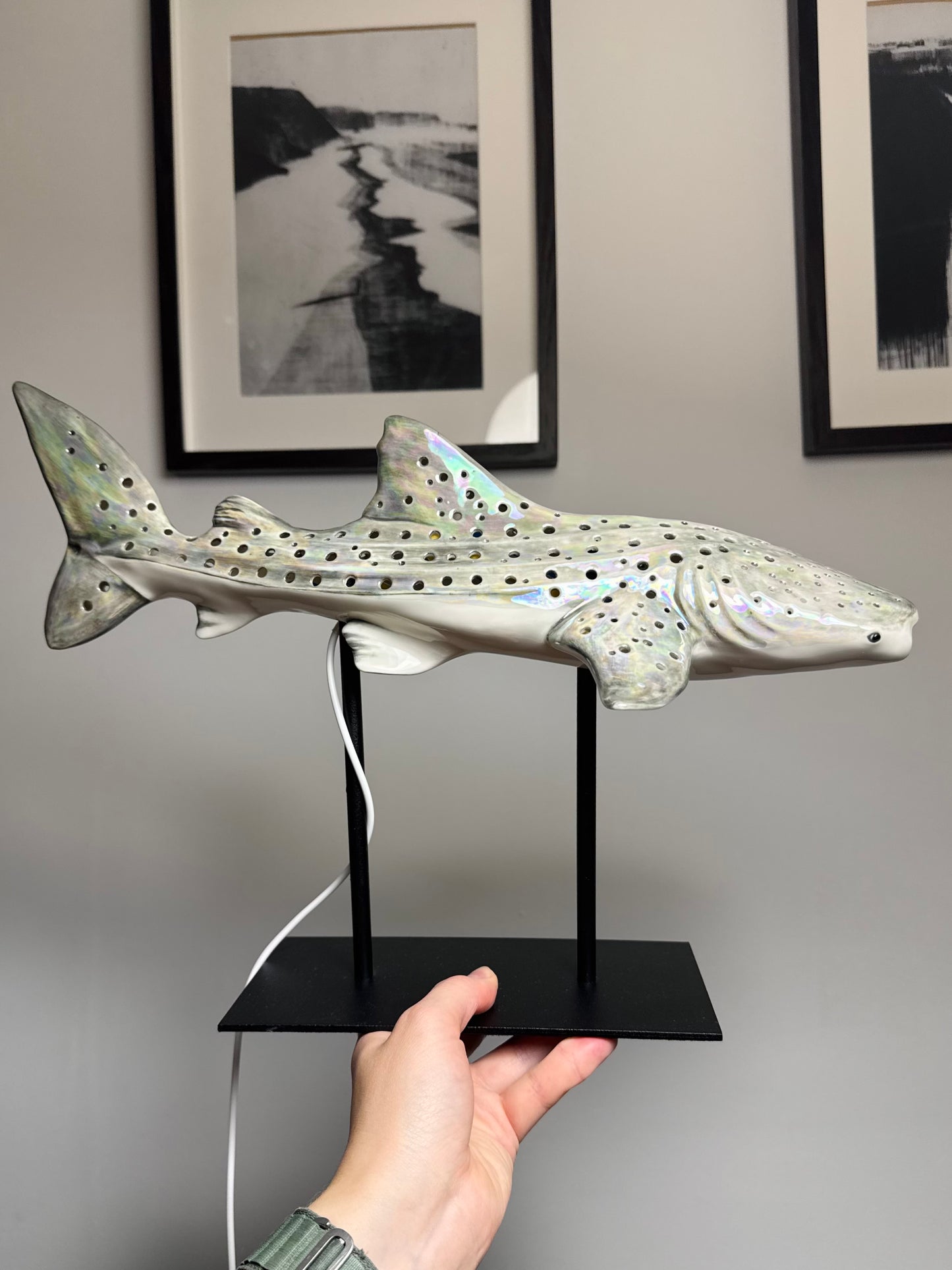 Shark Lamp