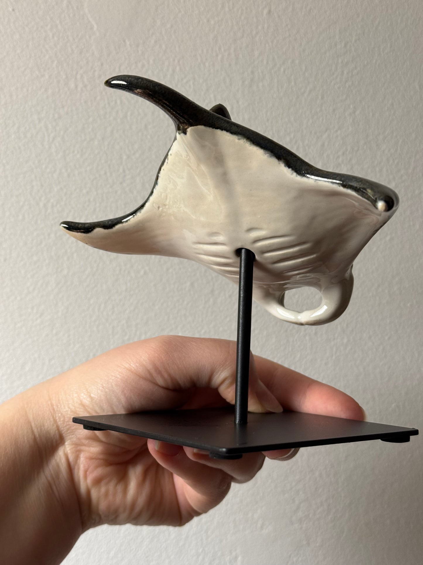 Manta Ray on a stand