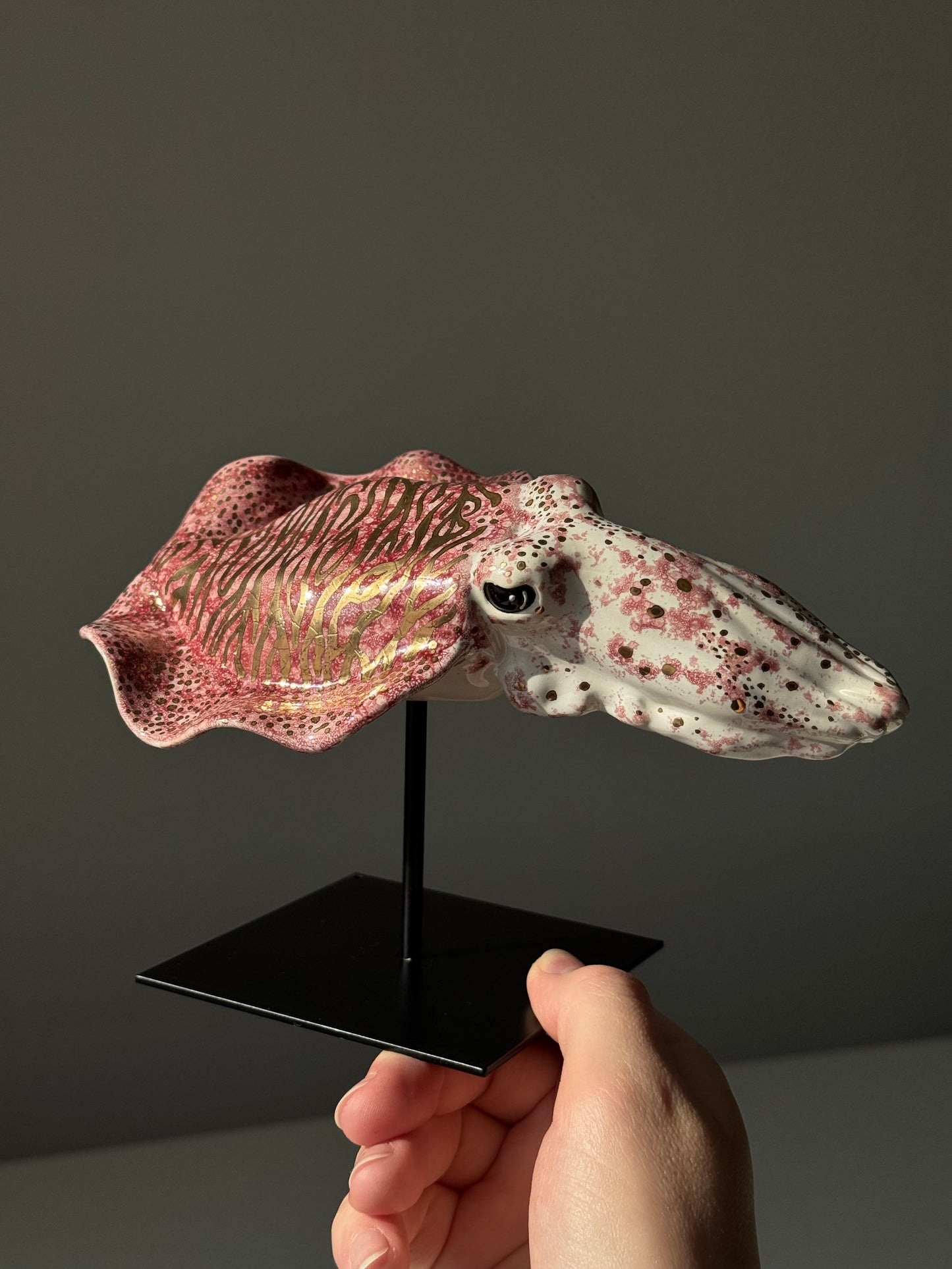Cuttlefish