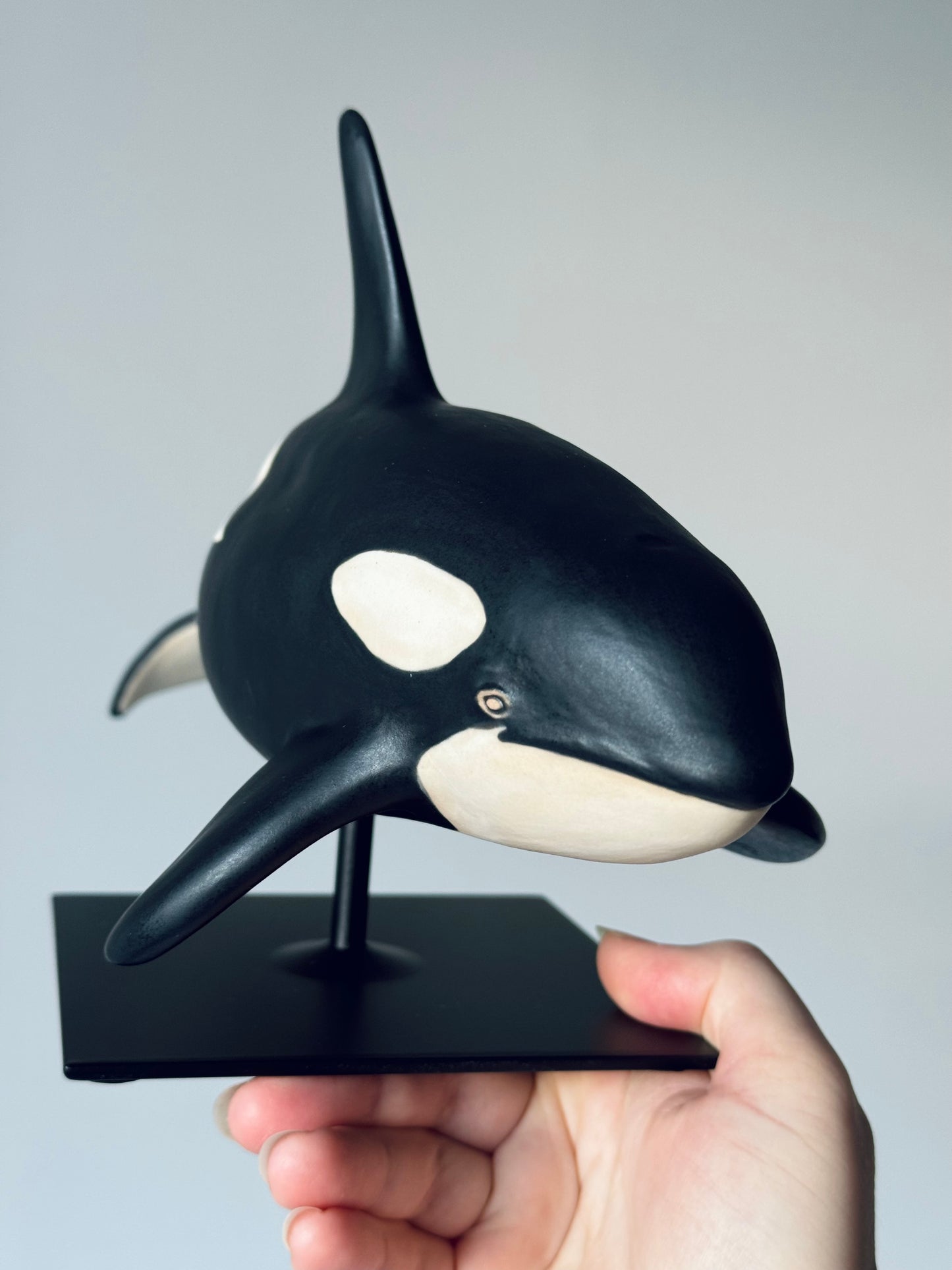 Orca on a stand