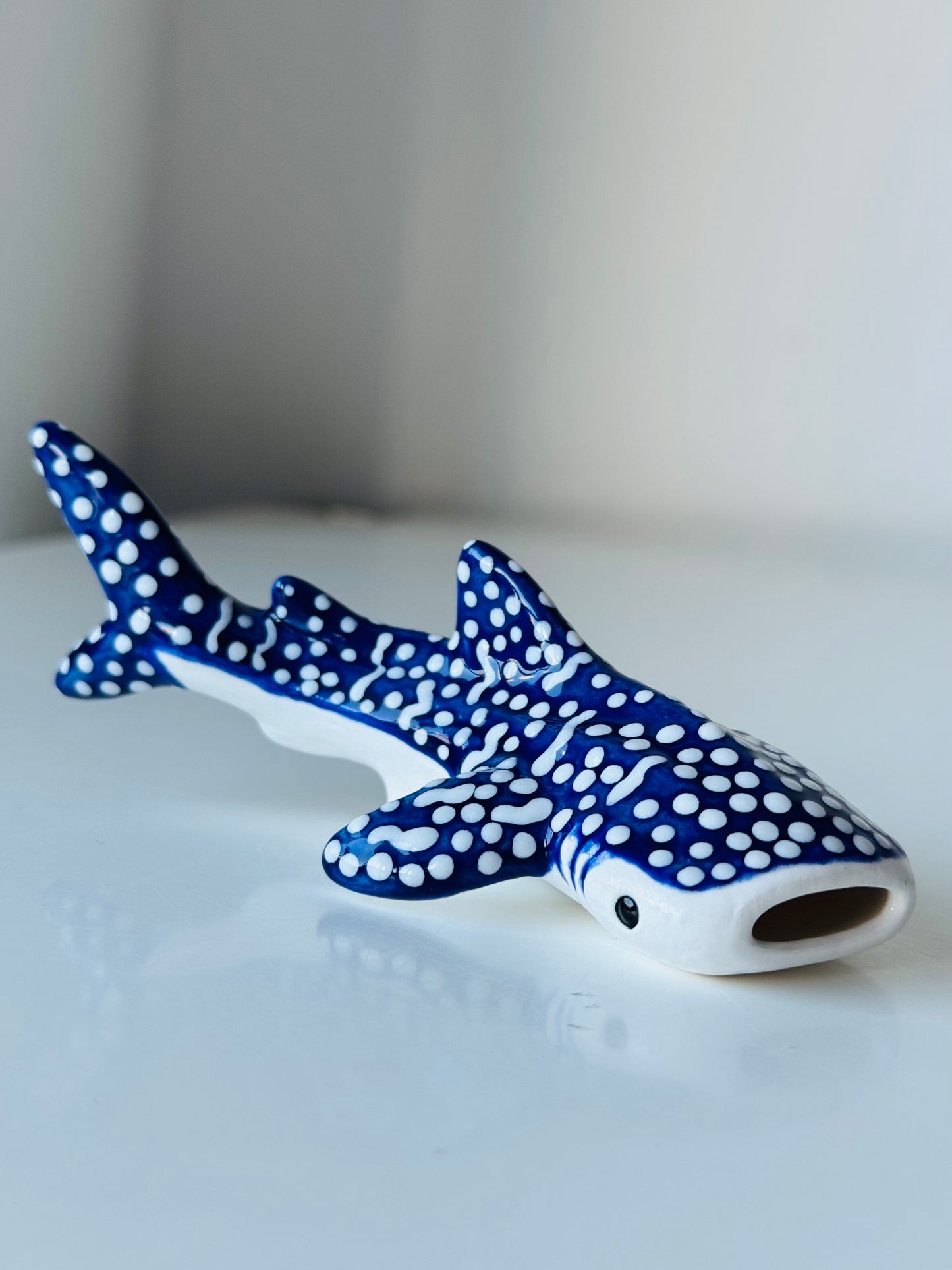 Baby Whale Shark