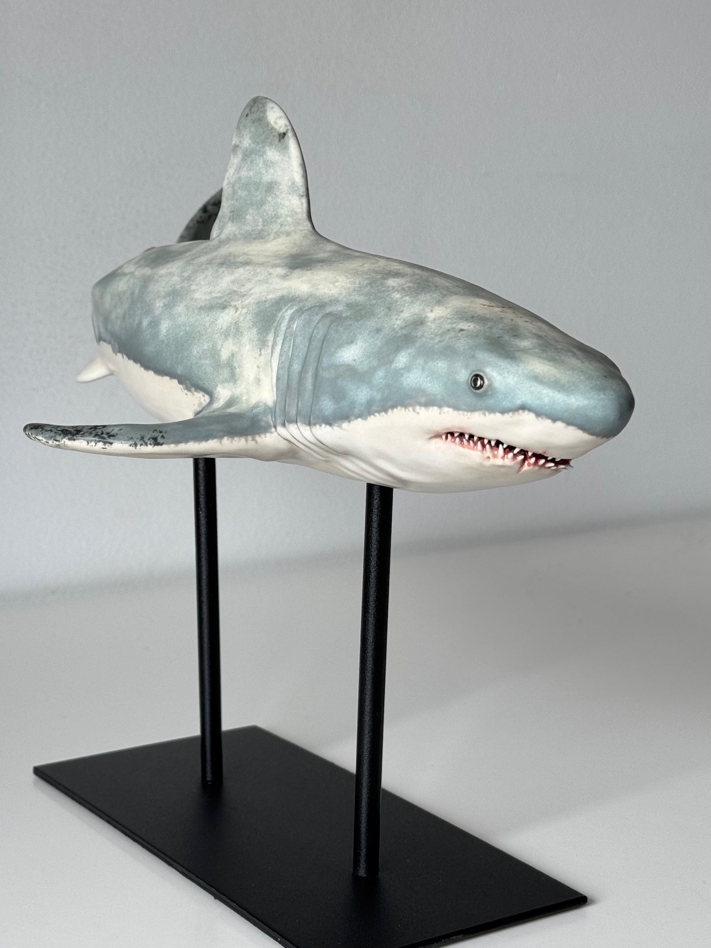 Great White Shark