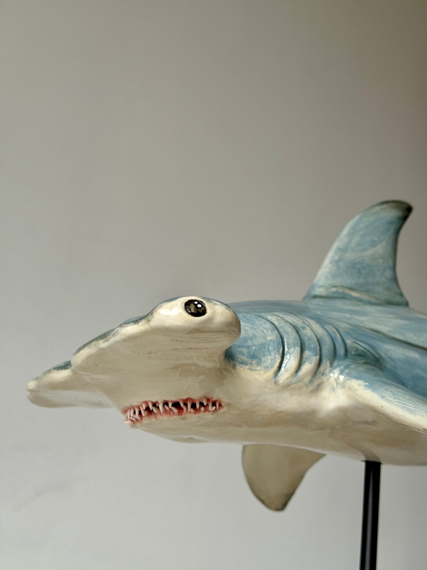 Hammerhead Shark