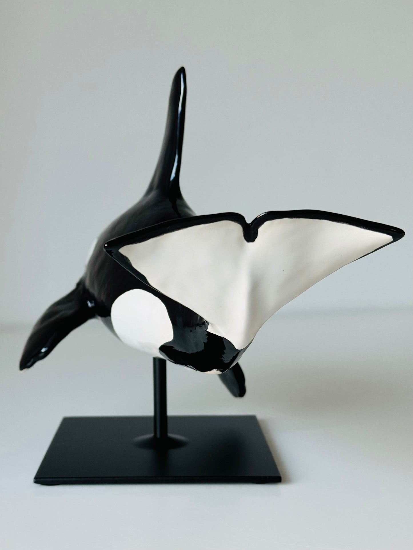 Male Orca on a stand