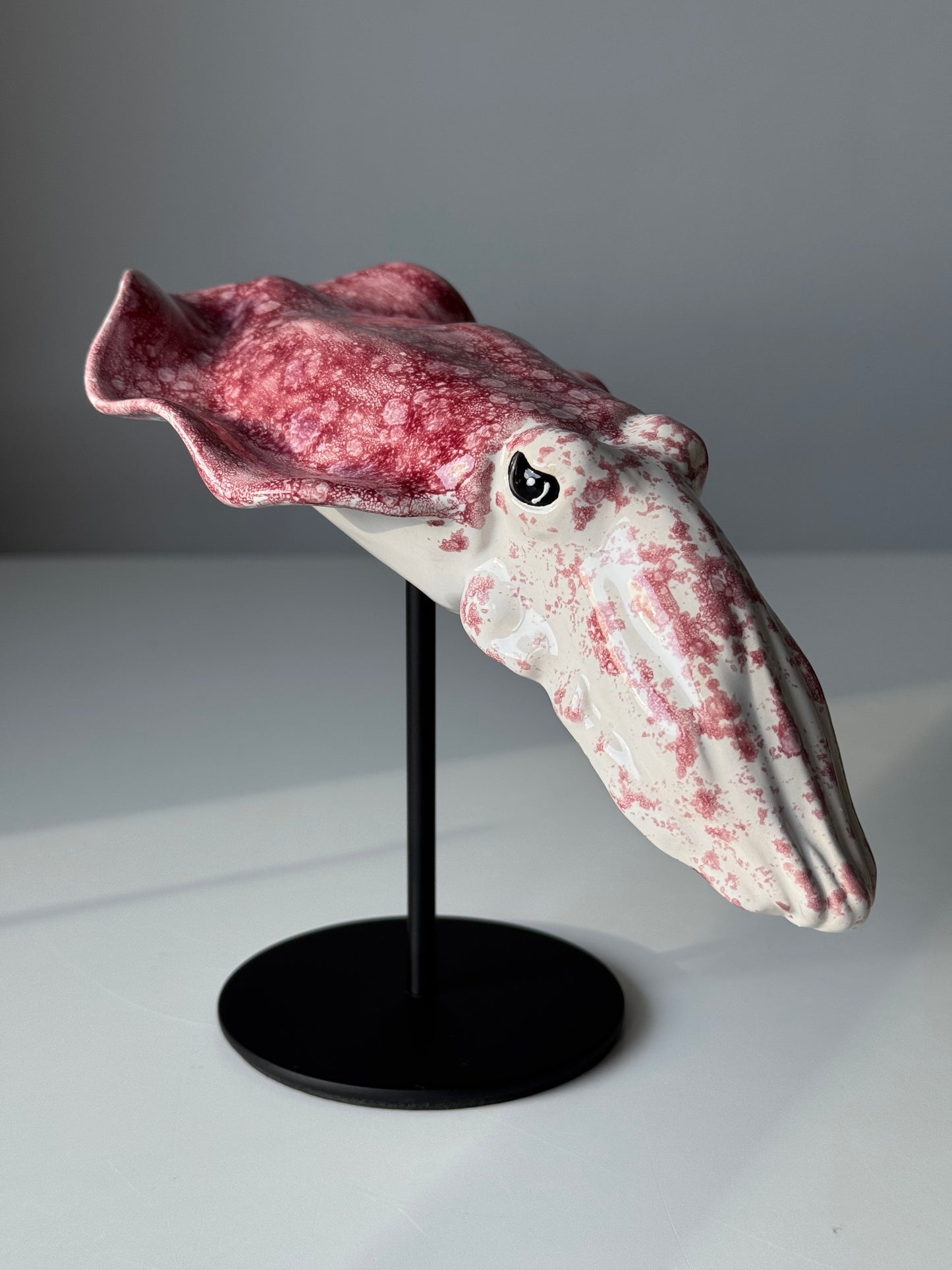 Cuttlefish