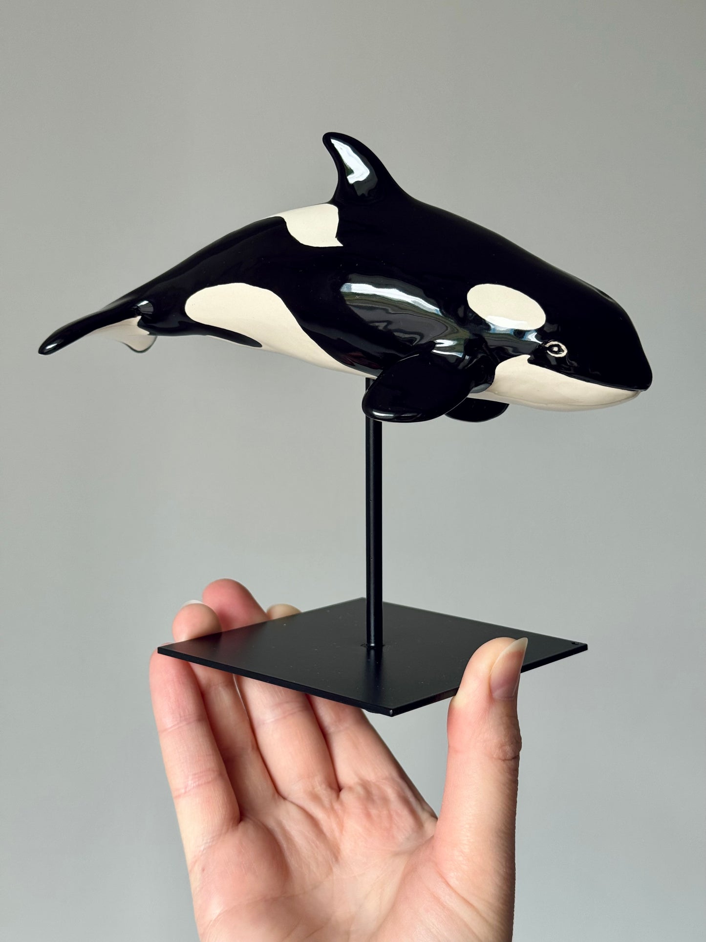 Baby Orca