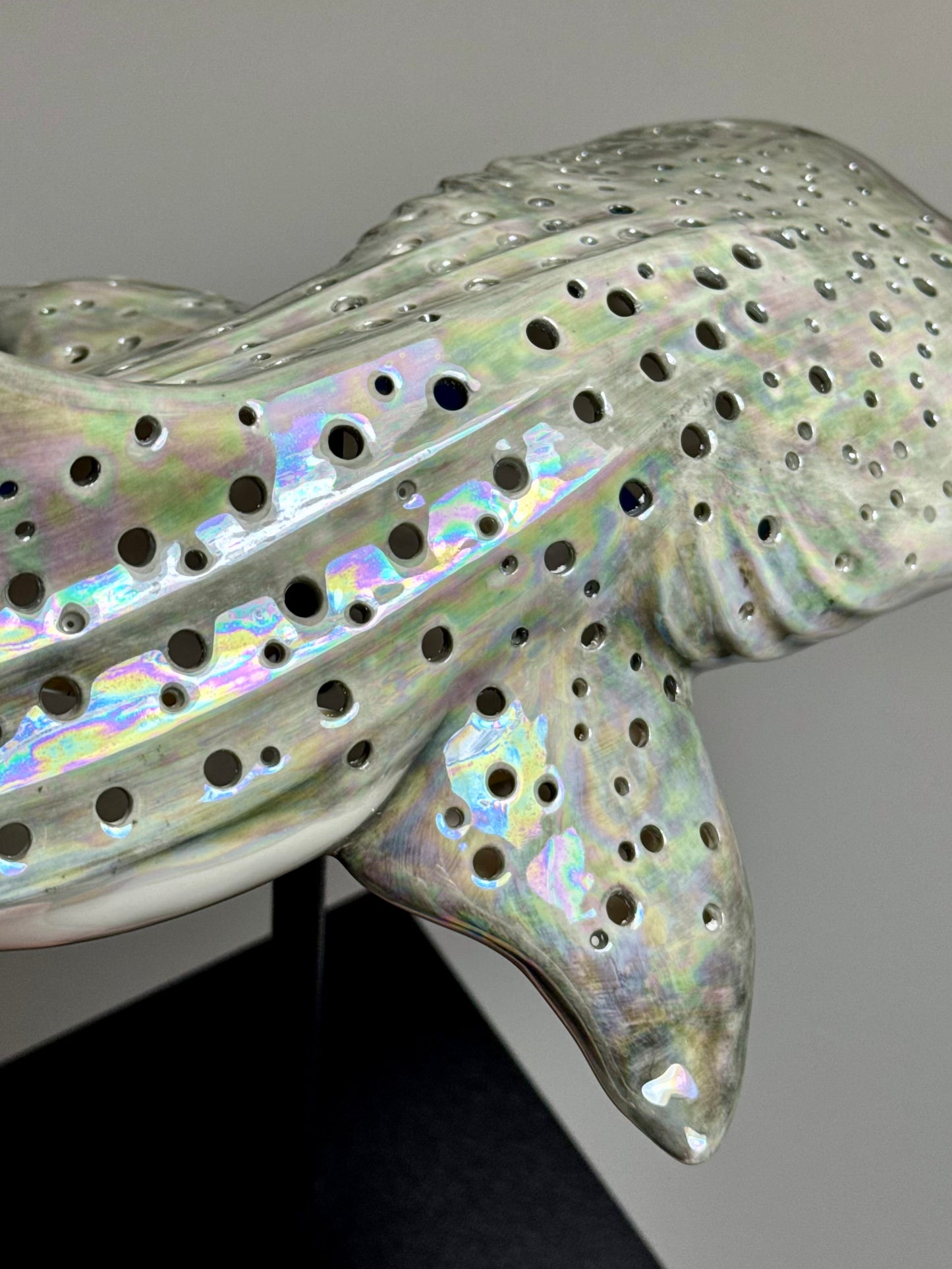 Shark Lamp