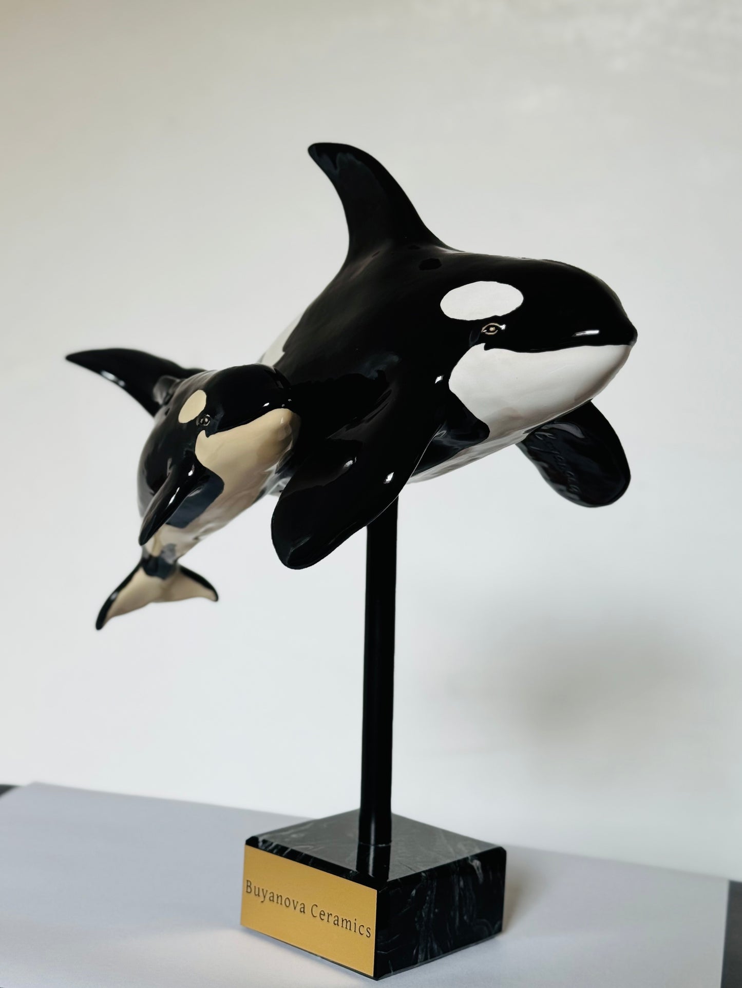Mother and Calf Orcas