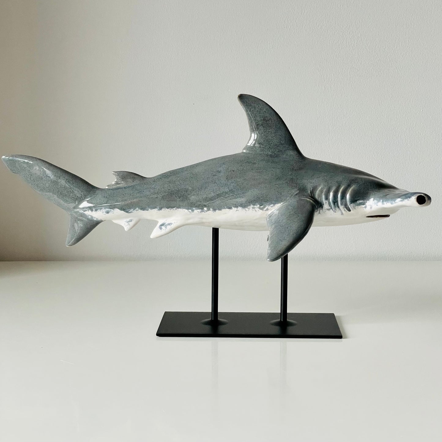 Hammerhead Shark on a metal stand