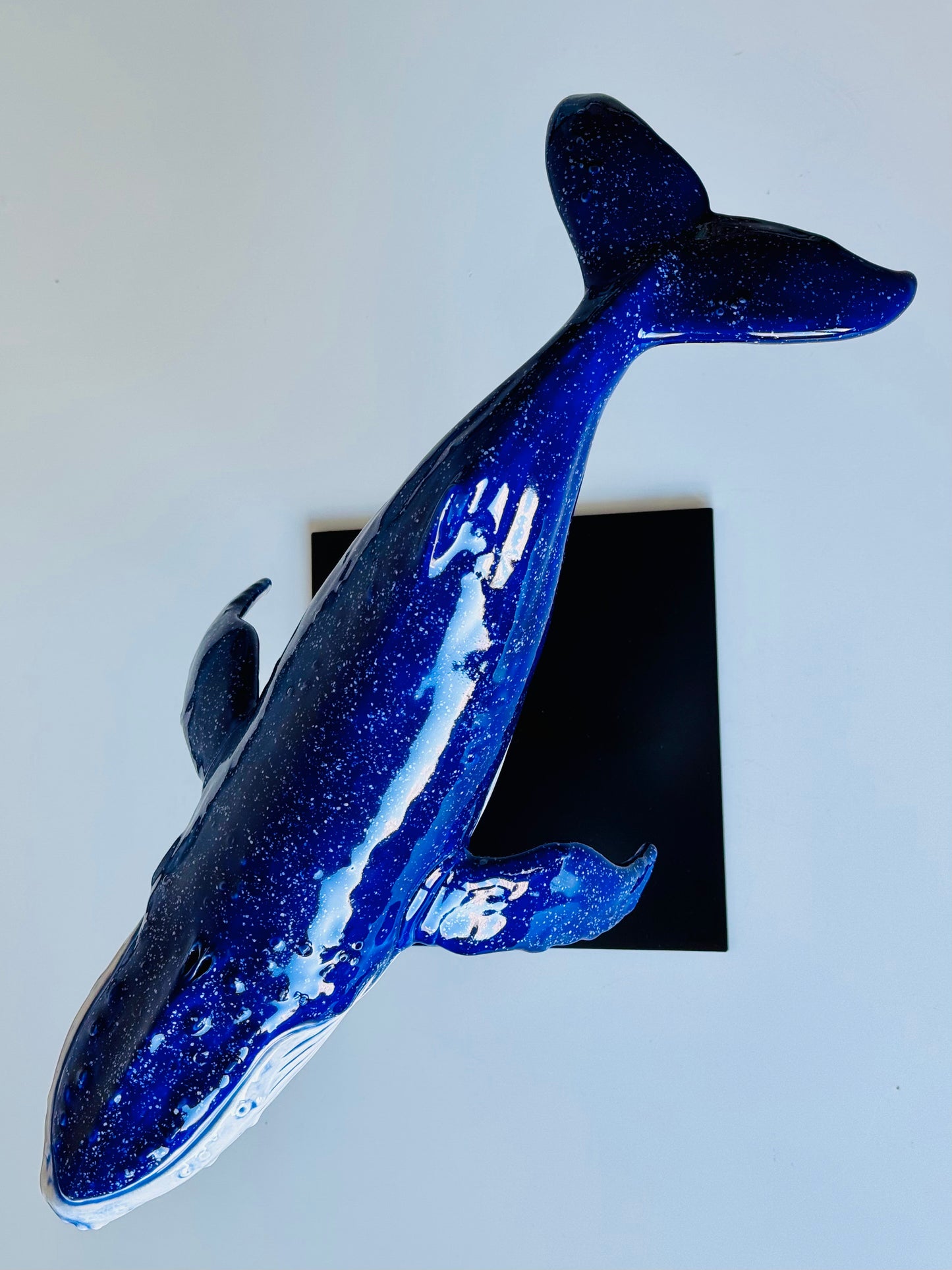 Big Humpback Whale